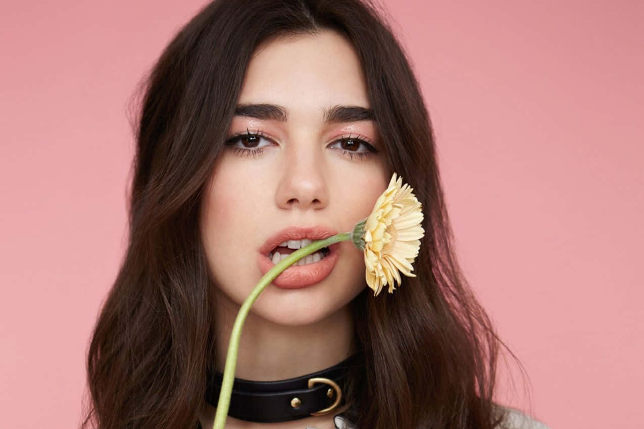 Dua Lipa 桌布 壁紙 — 一位深色頭髮的年輕女子在柔和的粉紅色背景下將一朵黃色花朵靠近嘴唇。