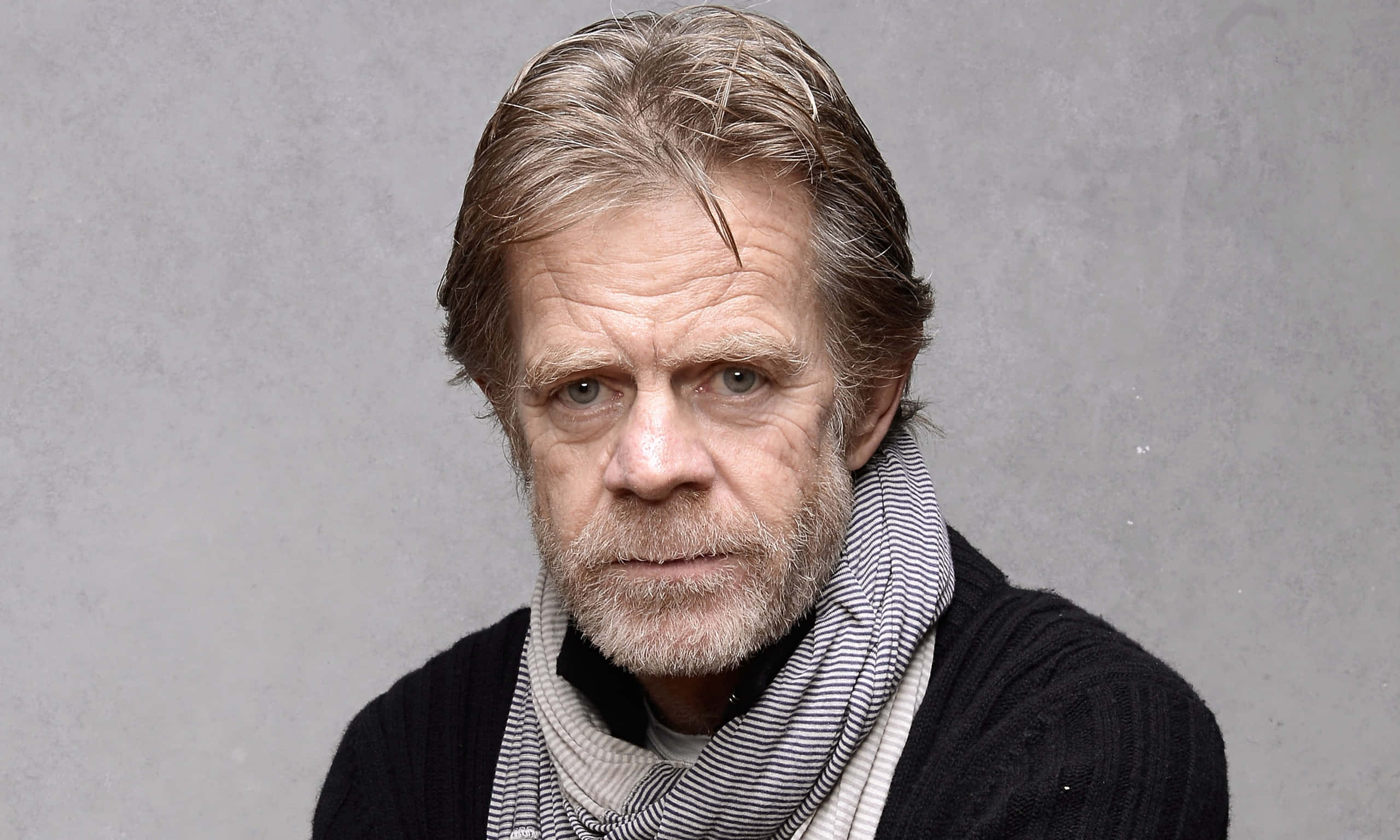 william h. macy 桌布 壁紙 — 一位灰髮鬍鬚男士戴著條紋圍巾，在純灰色背景前的特寫肖像。