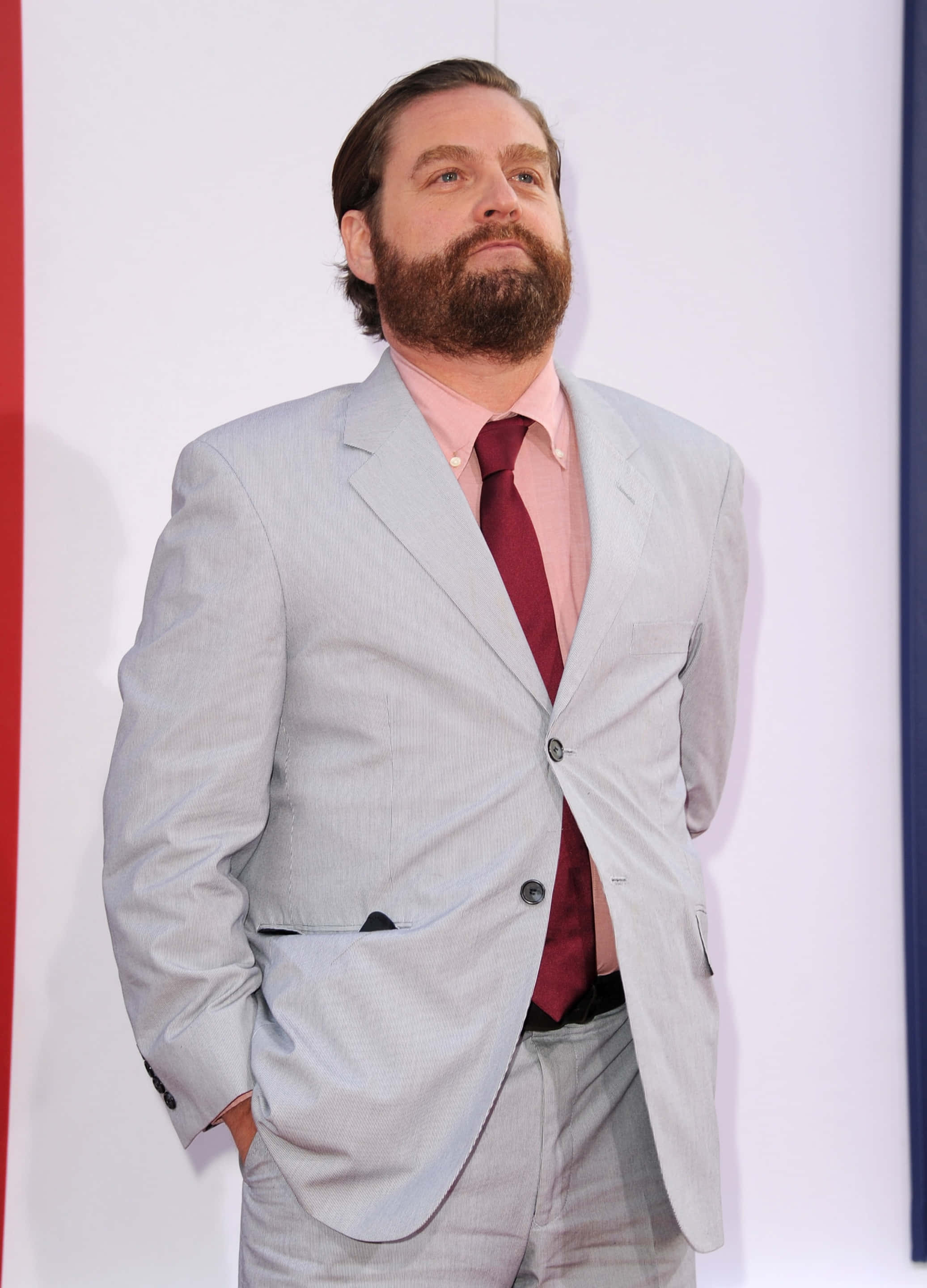 Zach Galifianakis 桌布 壁紙 — 一位留著濃密鬍鬚的男子，身穿淺灰色西裝、粉紅色襯衫和酒紅色領帶，站在帶有紅色和藍色垂直條紋的白色背景前。