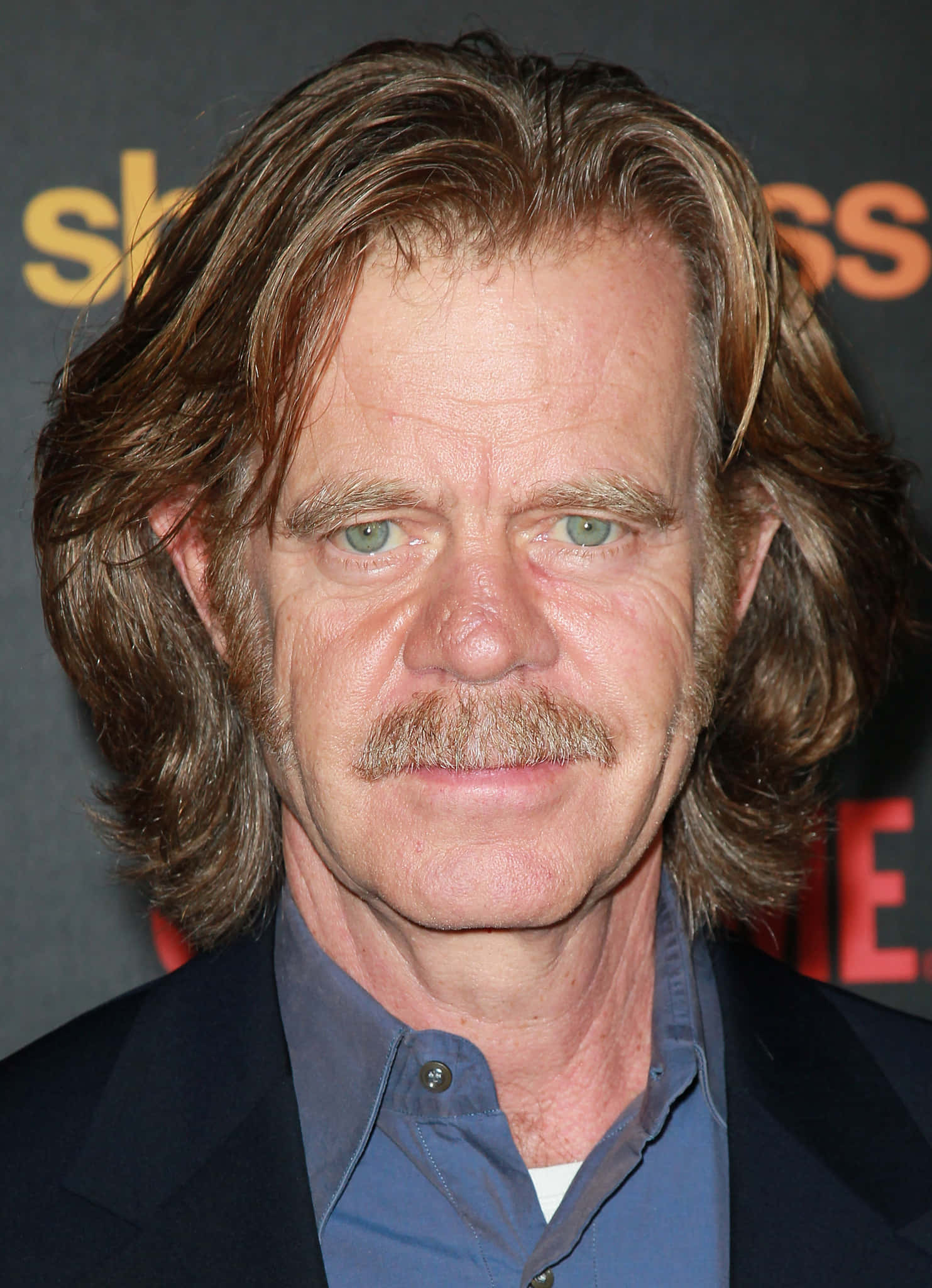 william h. macy 桌布 壁紙 — 一位留著長棕髮和鬍鬚的男士的頭像特寫，身穿藍色襯衫和深色外套。