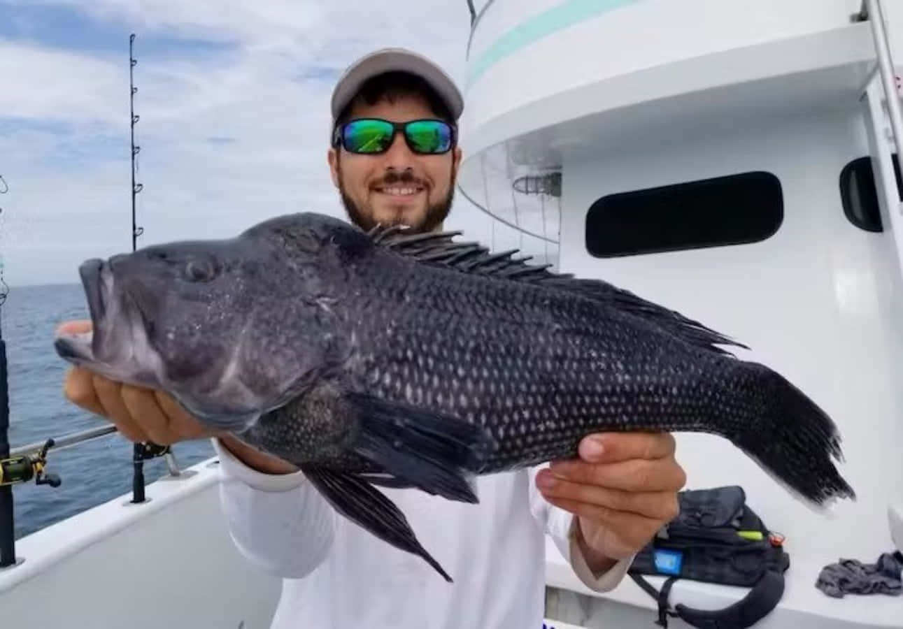 Black Sea Bass 桌布 壁紙 — 一位留鬍鬚的漁夫戴着太陽眼鏡，在白色船上自豪地拿着一條大黑魚，背景是陰雲密布的大海。