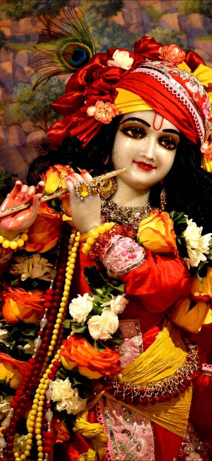 krishna god 桌布 壁紙 — 一位神聖人物身穿鮮豔的紅色和金色服飾，在鮮花和孔雀羽毛的環繞下吹奏長笛。