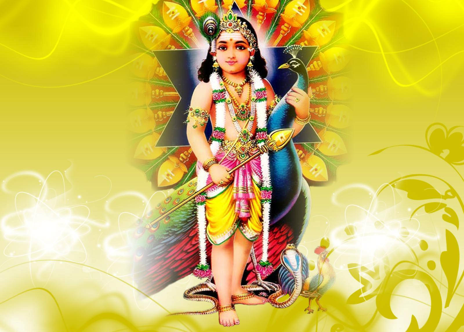 Lord Murugan 桌布 壁紙 — 一位神聖的兒童神祇，裝飾著珠寶和花環，優雅地站在孔雀旁邊，背景是帶有旋轉光效的燦爛黃色。