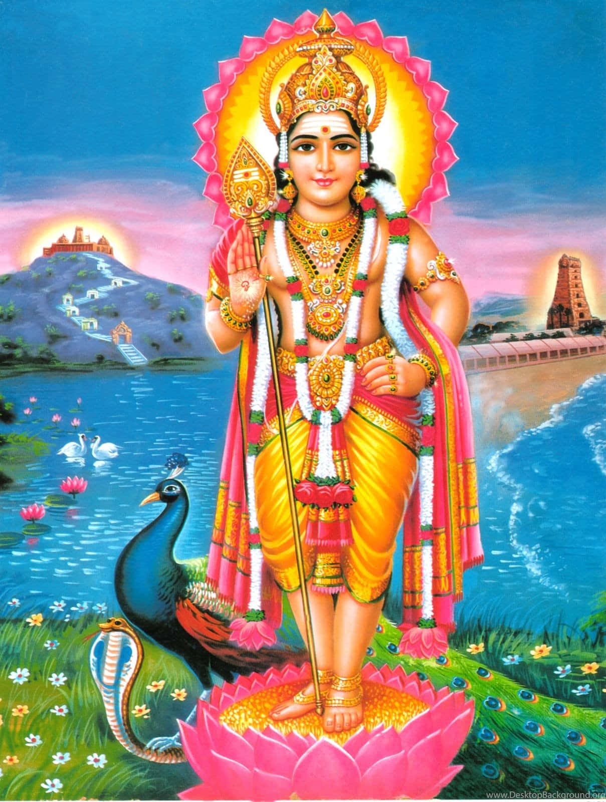 Murugan 桌布 壁紙 — 一位神聖的印度教神祇優雅地站在粉紅色的蓮花上，腳邊有一隻孔雀和一條眼鏡蛇，周圍是寧靜的湖泊和寺廟山丘，正值日落時分。