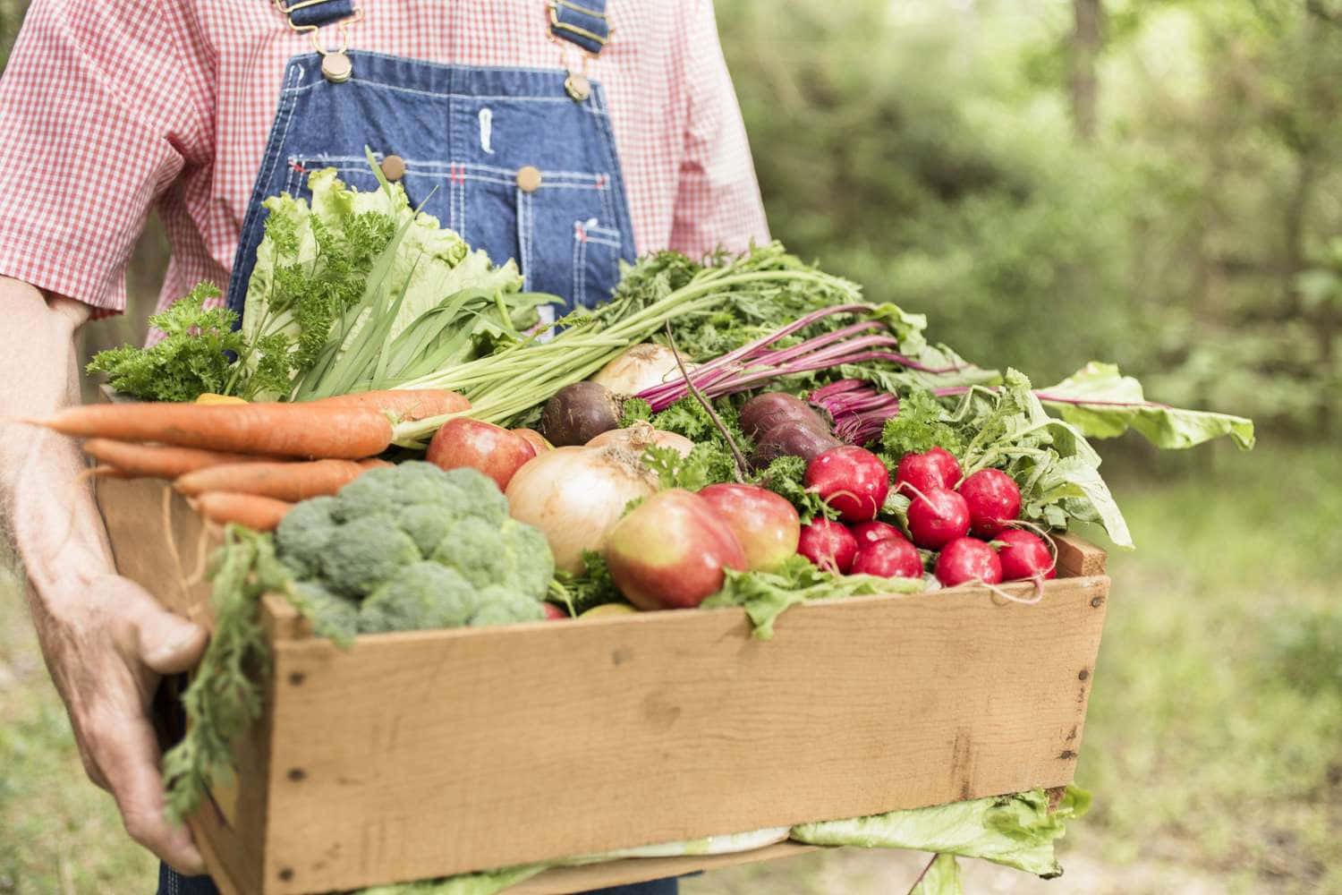 Organic Farming 桌布 壁紙 — 一位穿著工裝褲的農夫在陽光明媚的戶外環境中，抱著一個裝滿新鮮蔬菜的木箱。