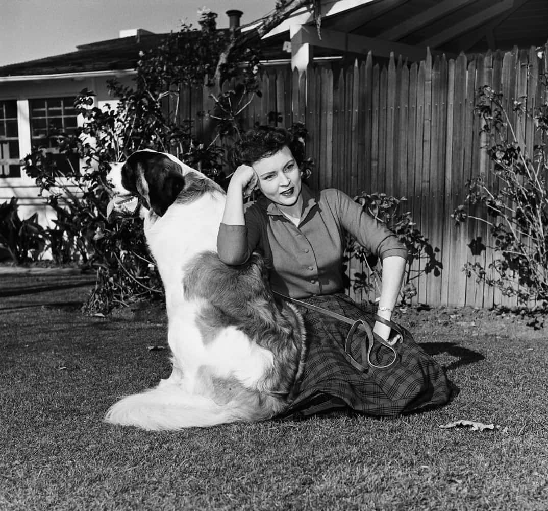Betty White 桌布 壁紙 — 一位穿著格子裙的女性坐在草地上，旁邊有一隻大型聖伯納犬咬著狗繩，黑白照片。