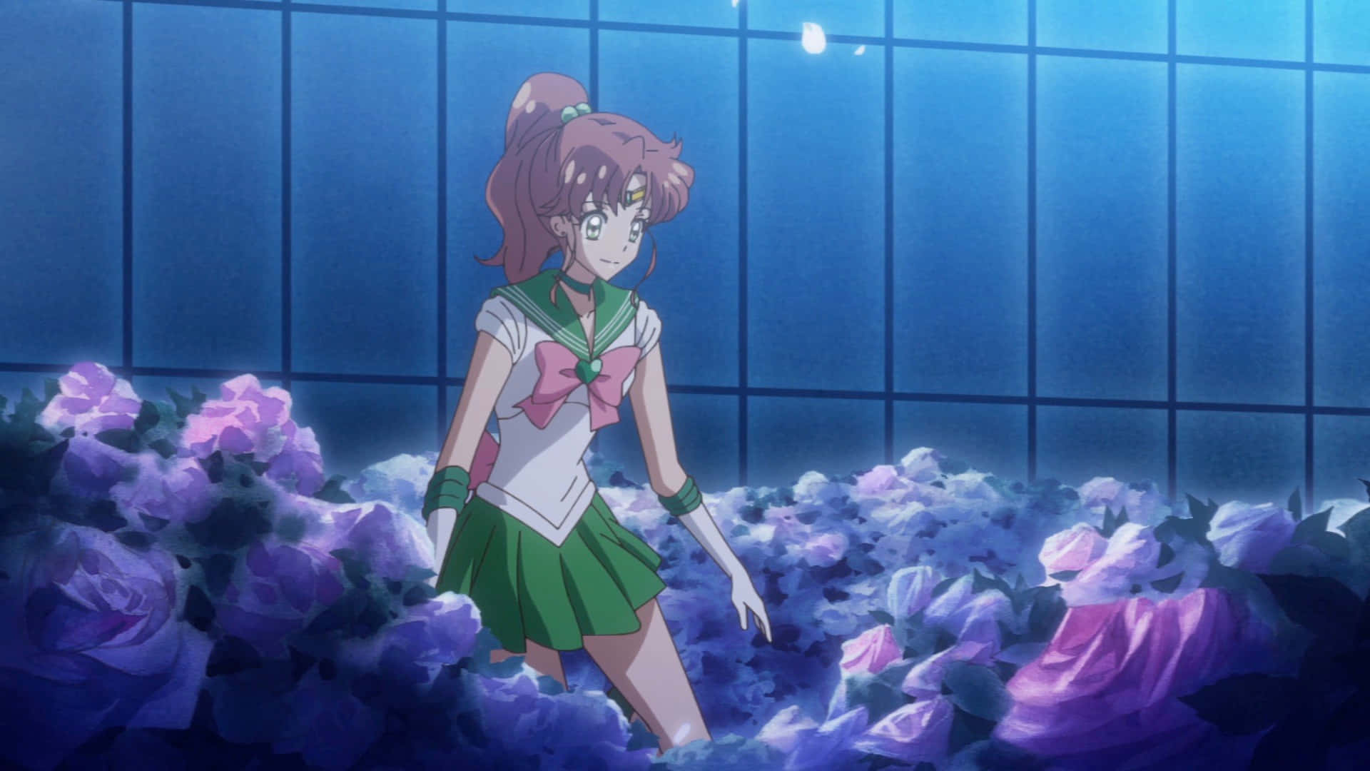 sailor jupiter 桌布 壁紙 — 一位粉紅色頭髮的動漫女孩穿著水手服，站在藍色網格天花板下發光的紫色玫瑰叢中。