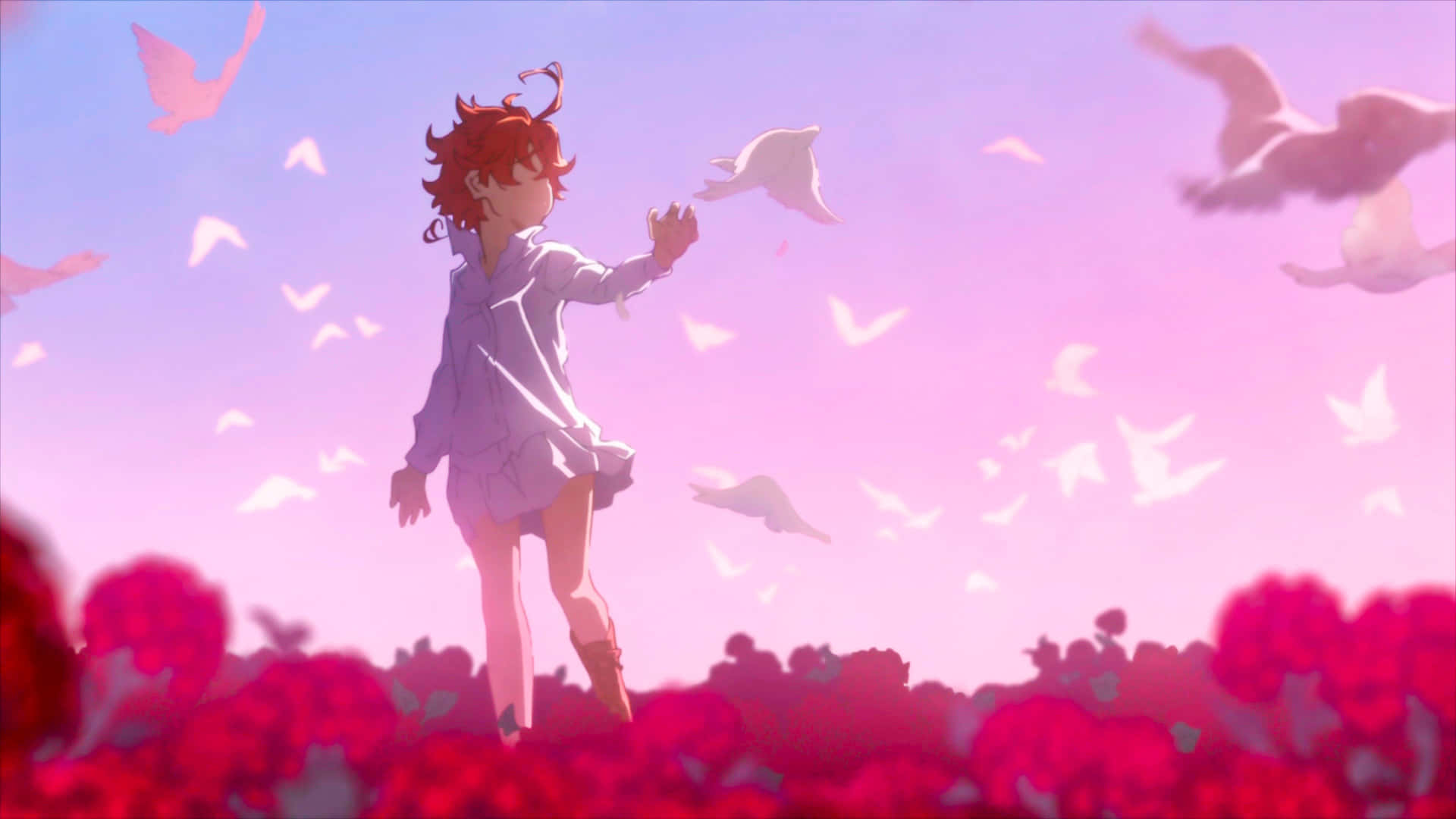 The Promised Neverland Emma 桌布 壁紙 — 一位紅髮動漫女孩穿著白色連衣裙站在粉紅玫瑰田中，伸手觸碰在柔和紫色天空中飛翔的白鴿。