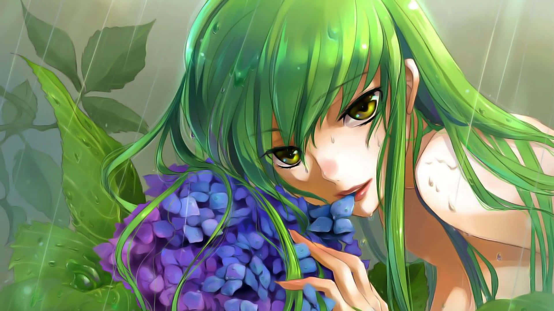 Code Geass C.c. 桌布 壁紙 — 一位綠髮金眼的動漫女孩在細雨中，於茂密的樹葉間捧著一束紫色繡球花。