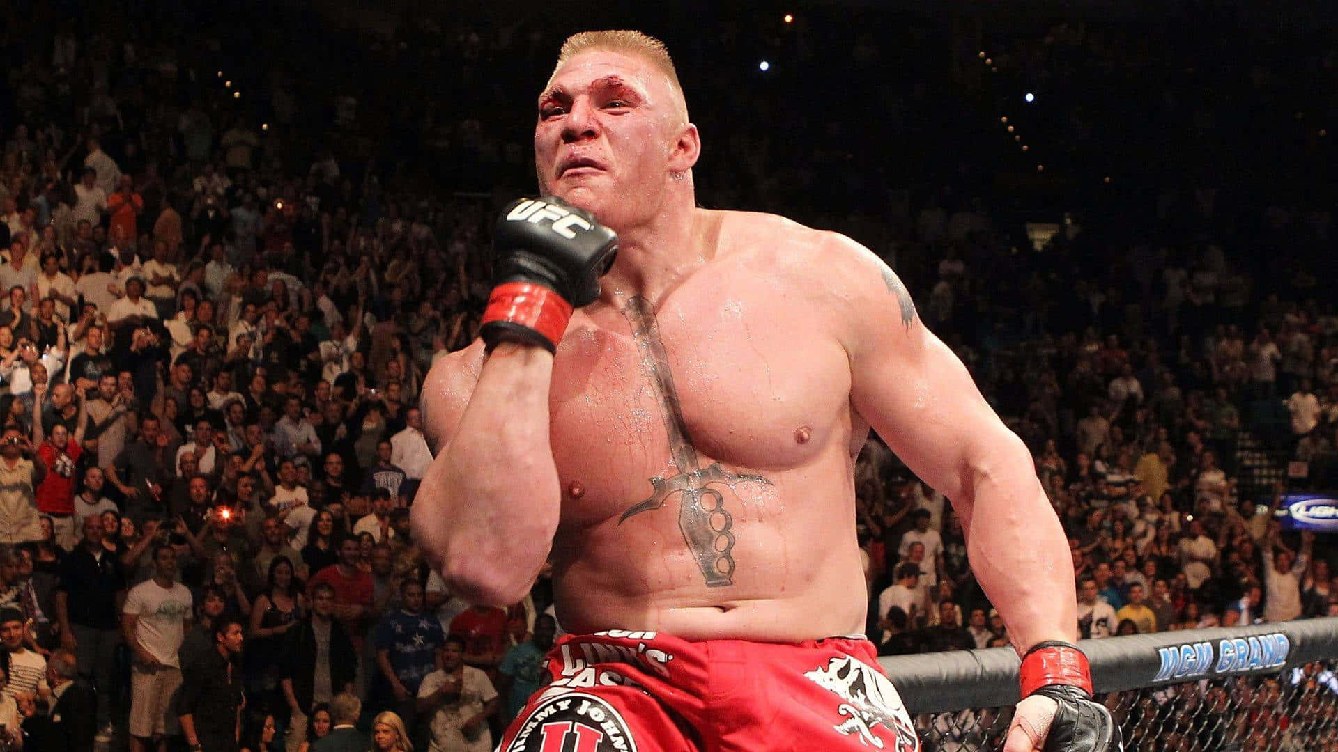 UFC 桌布 壁紙 — 一位肌肉發達的戰士穿著紅色短褲，在UFC八角籠中勝利地站立，背後是咆哮的人群。
