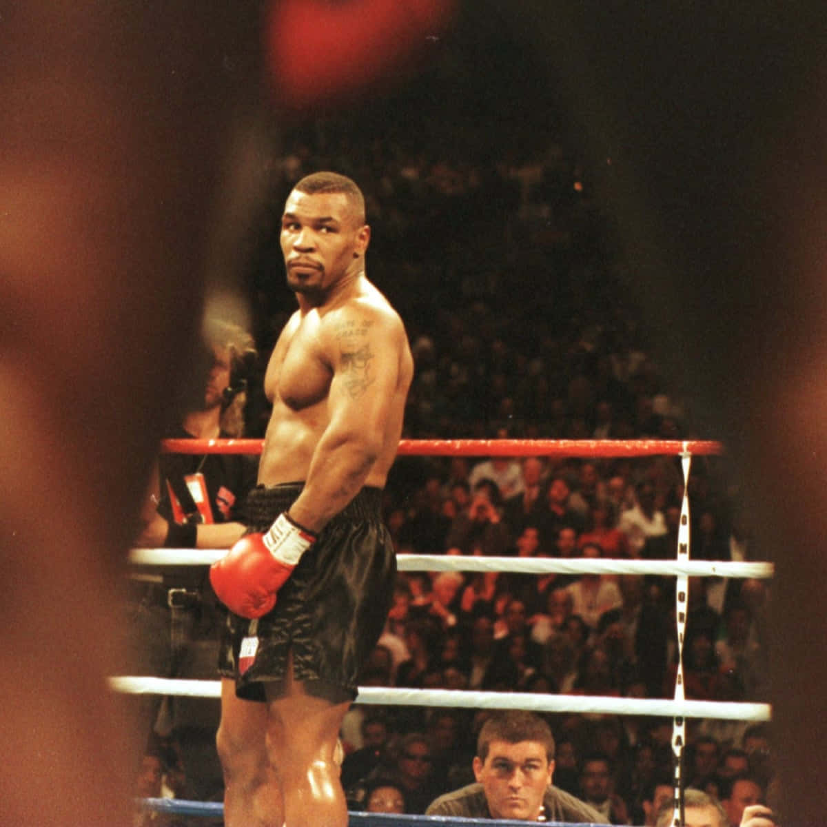 mike tyson 桌布 壁紙 — 一位肌肉發達的拳擊手戴着紅色手套，自信地站在燈光明亮的擂台上，模糊的人群在熱切觀看。