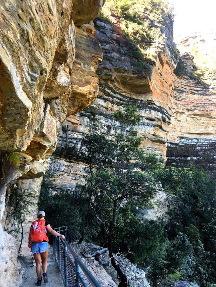 Blue Mountains National Park 桌布 壁紙 — 一位背著紅色背包的健行者，沿著高聳層狀岩層和茂密綠樹下的狹窄懸崖小徑行走。