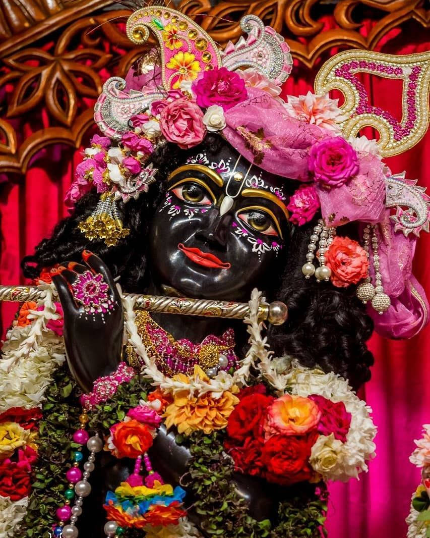krishna god 桌布 壁紙 — 一位裝飾華麗的深色皮膚神祇，頭戴花冠，手持長笛，被鮮豔的花朵環繞，背景為紅色。