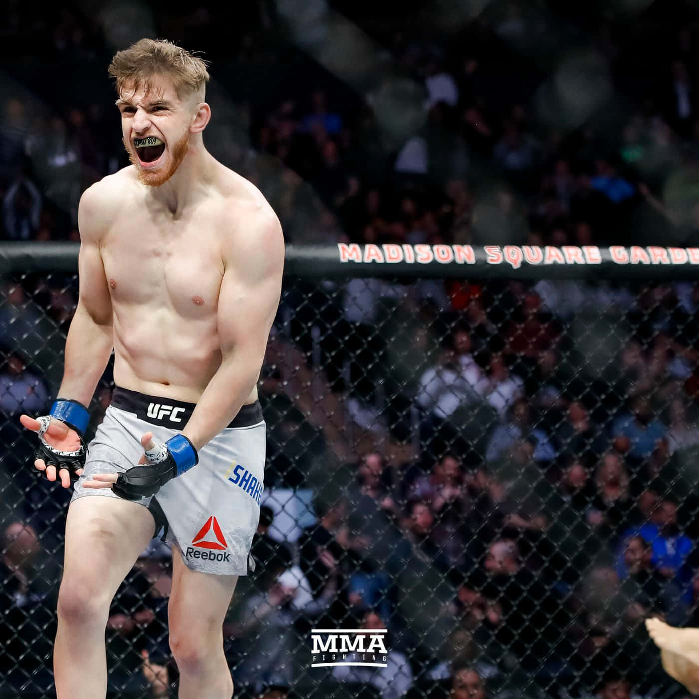 UFC 桌布 壁紙 — 一位赤裸上身的MMA拳手在麥迪遜廣場花園的籠內勝利咆哮，背後是咆哮的人群。