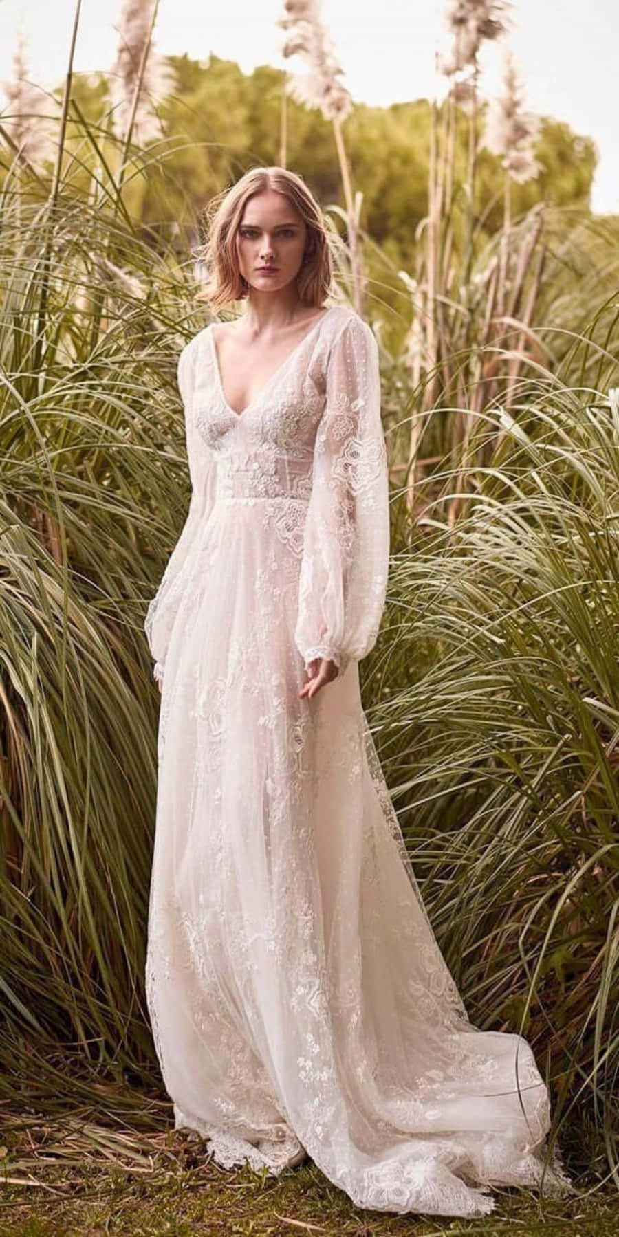 Wedding Dress 桌布 壁紙 — 一位身穿優雅白色蕾絲婚紗的女子站在高高的草叢中，柔和的光線穿透而過。