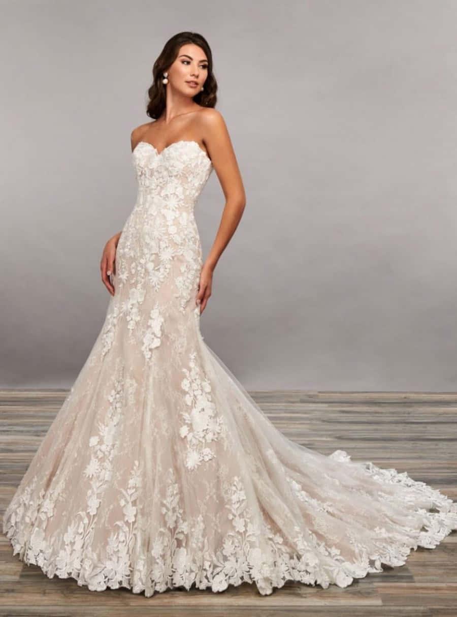 Wedding Dress 桌布 壁紙 — 一位身穿優雅白色蕾絲美人魚婚紗、長裙擺的女性，在簡約的攝影棚背景前擺出姿勢。