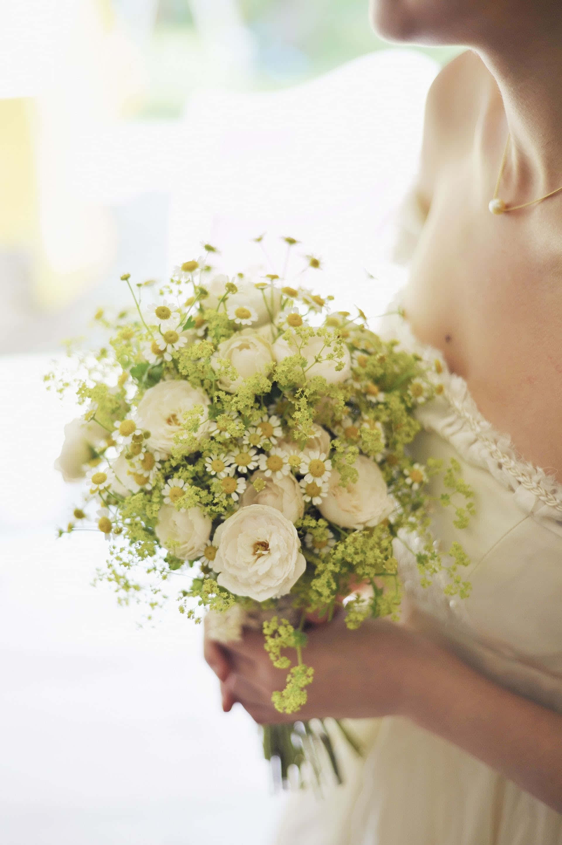 Wedding Flowers 桌布 壁紙 — 一位身穿奶油色禮服的新娘，在明亮柔和的背景下，手持一束由白色毛茛花、雛菊和綠葉組成的豐盛花束。