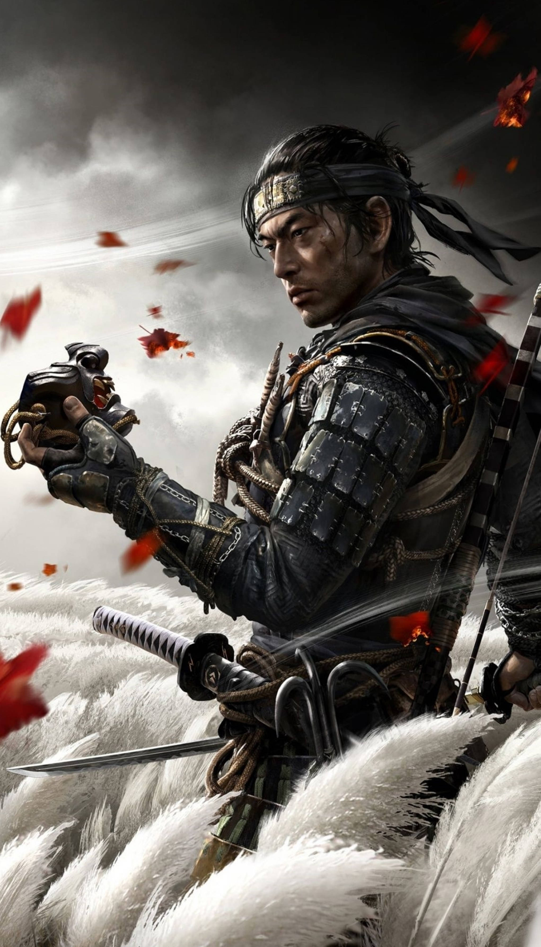武士 桌布 壁紙 — 一位身穿暗色鎧甲的武士站在暴風雨的天空下，周圍飄落著紅葉和白羽。