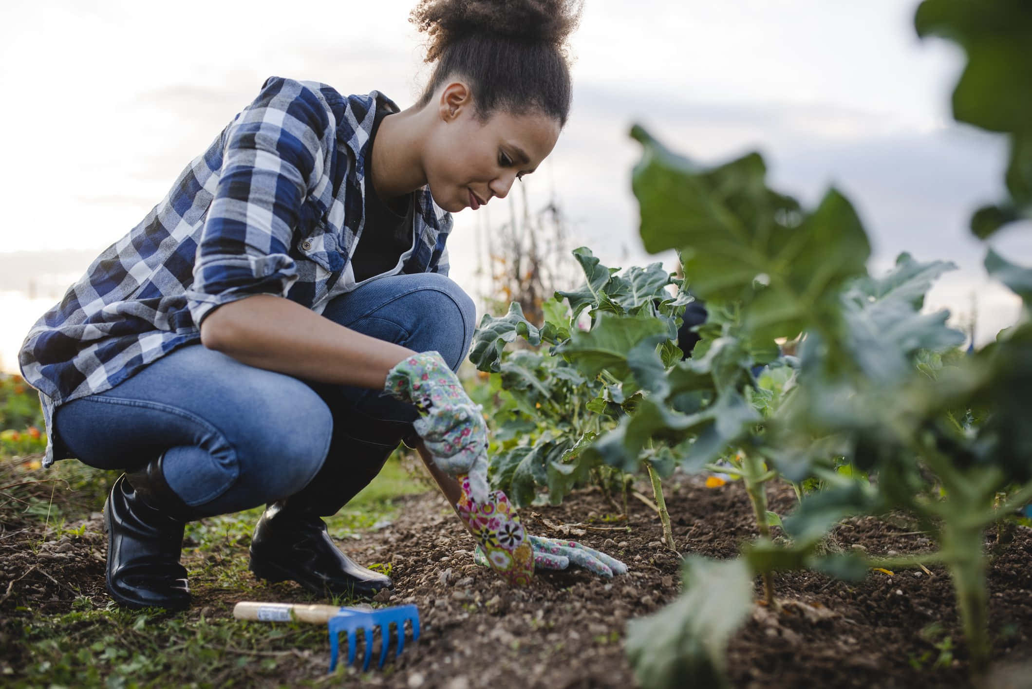 Gardening 桌布 壁紙 — 一位身穿格仔衫和園藝手套的女性蹲在菜園裡，在柔和日光下照料綠葉植物。