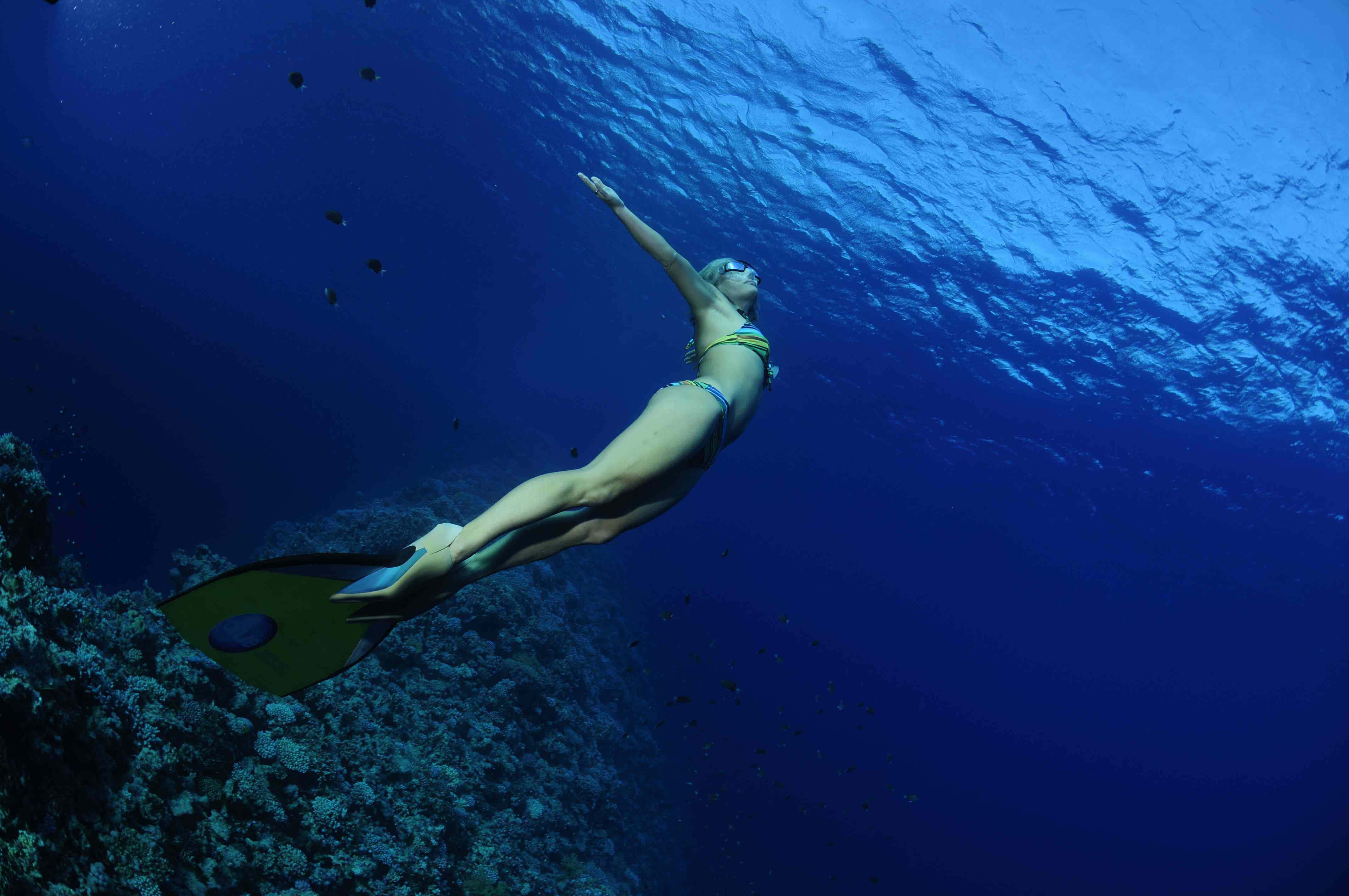 diving 桌布 壁紙 — 一位身穿比堅尼和腳蹼的女性在珊瑚礁上方優雅地滑行，陽光穿過深藍色的海洋。