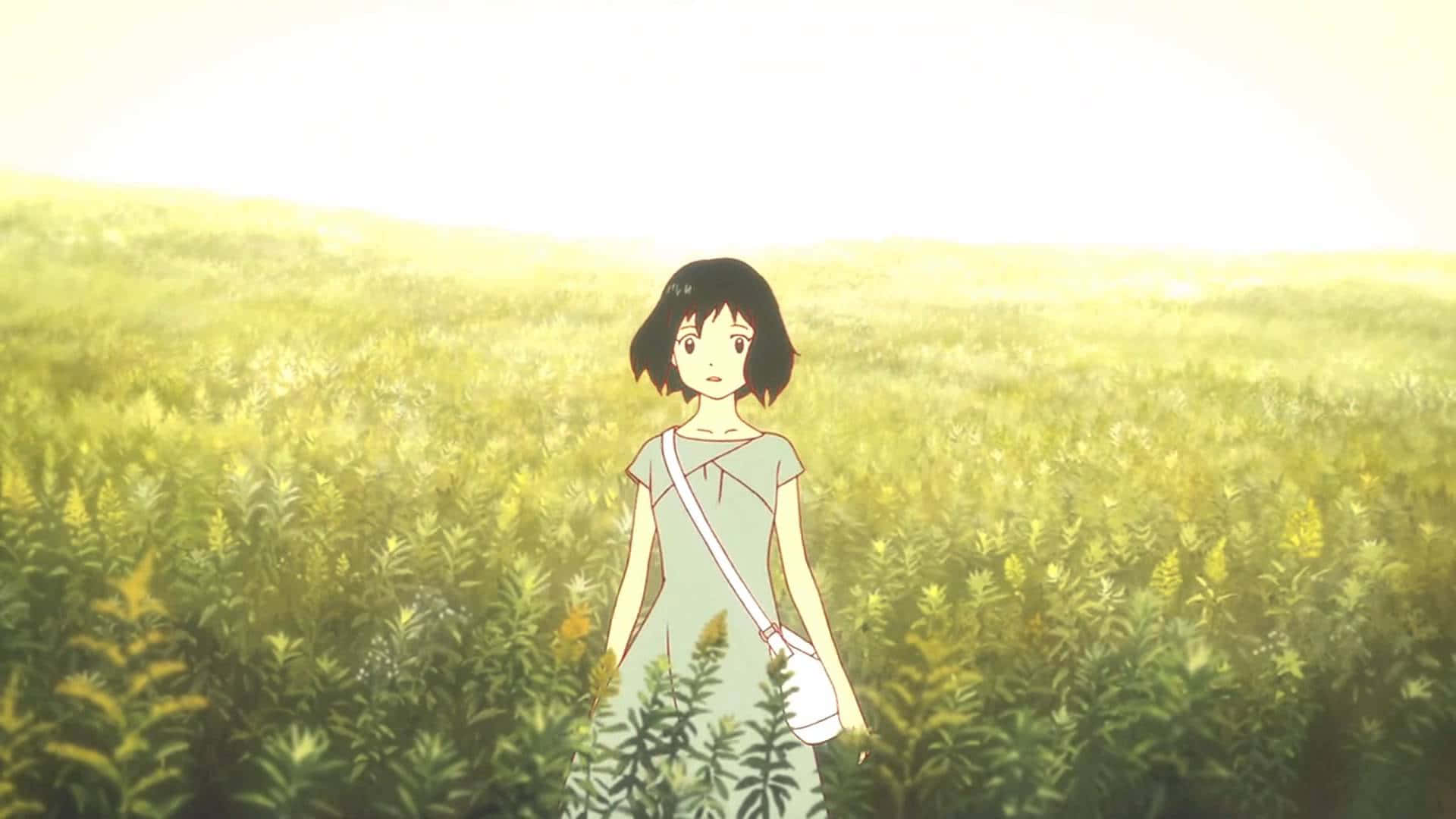 Wolf Children 桌布 壁紙 — 一位身穿淺色連衣裙的年輕女孩獨自站在陽光明媚、長滿高綠色草叢的田野中，天空明亮。