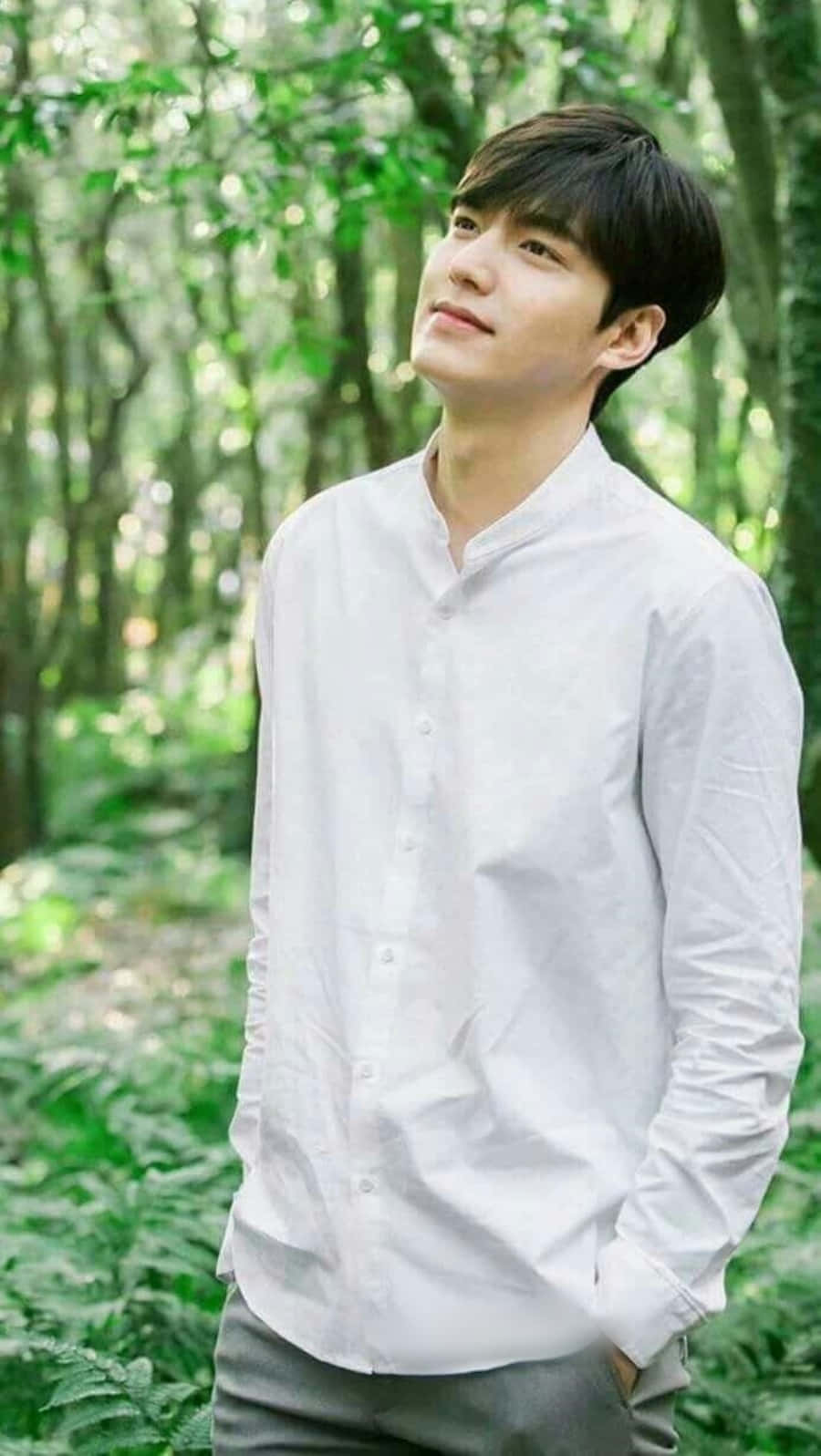 Lee Min Ho 桌布 壁紙 — 一位身穿白恤衫的年輕男子，在陽光斑駁的森林中平靜地站立，四周環繞著茂密的綠葉。