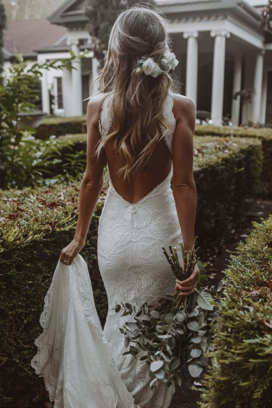 Wedding Dress 桌布 壁紙 — 一位身穿白色蕾絲露背婚紗的新娘，手持綠色花束，走過修剪整齊的樹籬。