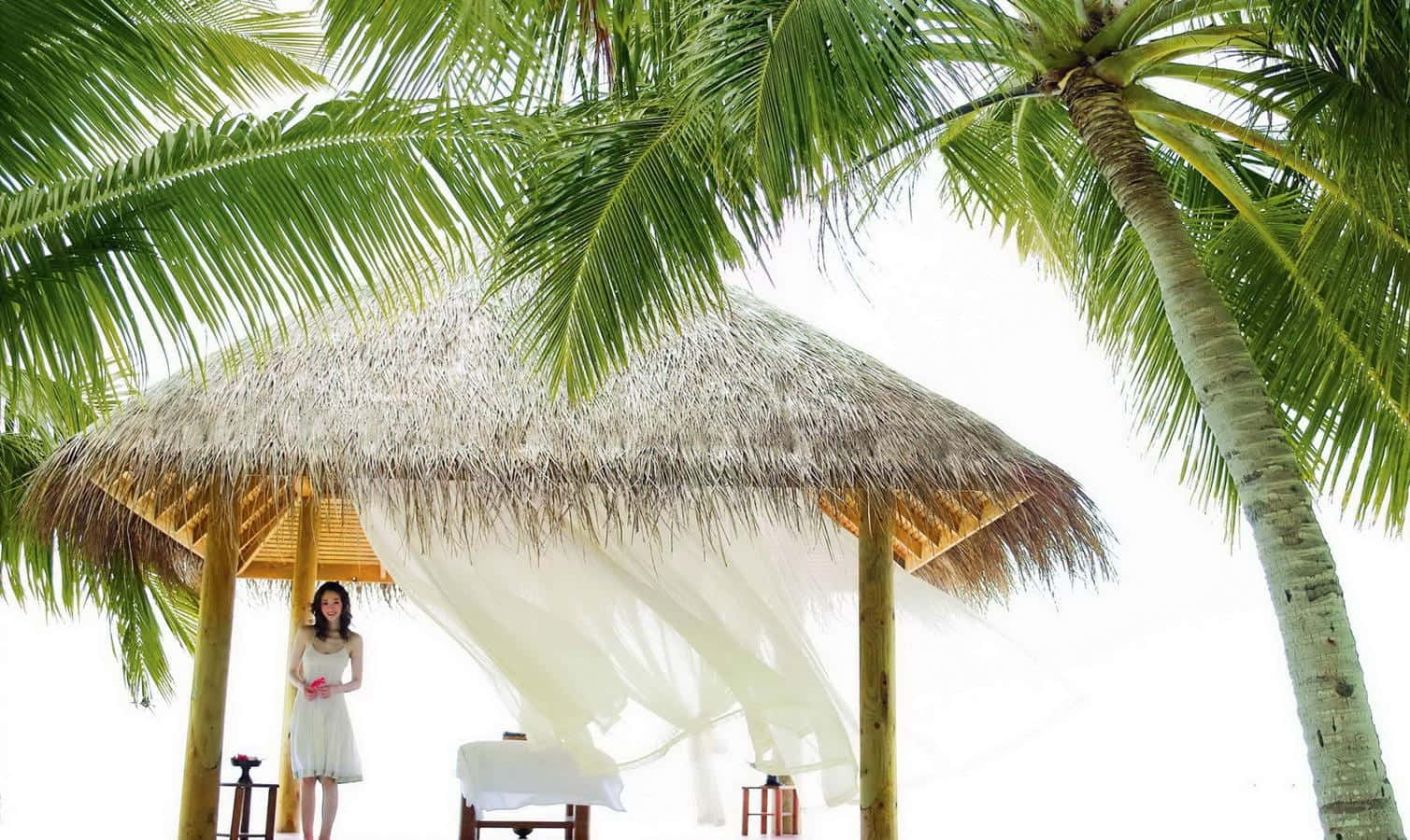 Beach Daybed 桌布 壁紙 — 一位身穿白色連衣裙的女性站在棕櫚葉茅草涼亭下，白色窗簾隨風飄動，背景是明亮的熱帶天空。