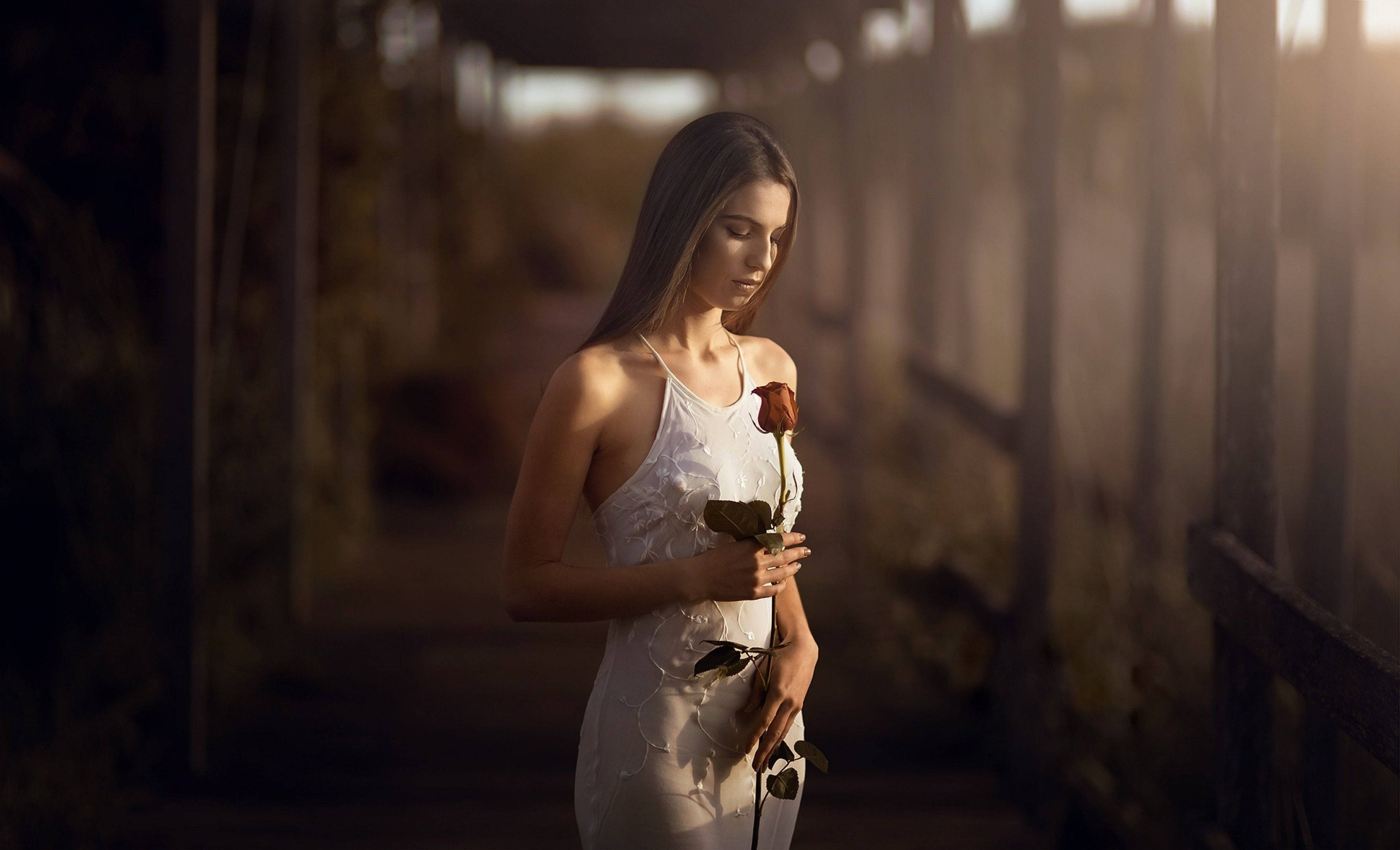 Woman 桌布 壁紙 — 一位身穿白色連衣裙的女性站在陽光照射的木質走廊中，手持一朵紅玫瑰。