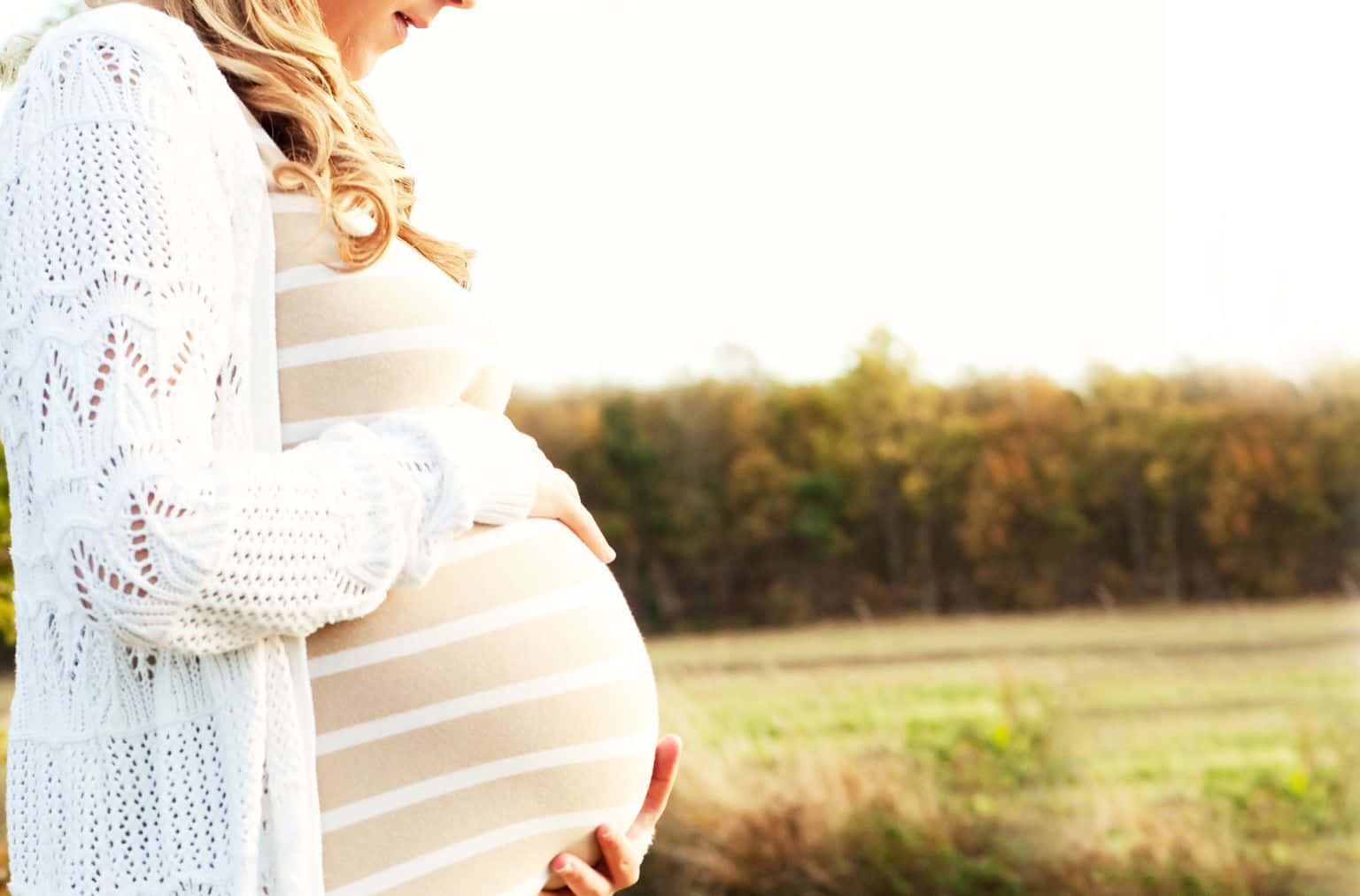 pregnancy 桌布 壁紙 — 一位身穿白色針織開衫的孕婦，在金色時光中輕柔地抱著肚子，背景是柔和的秋日田野。