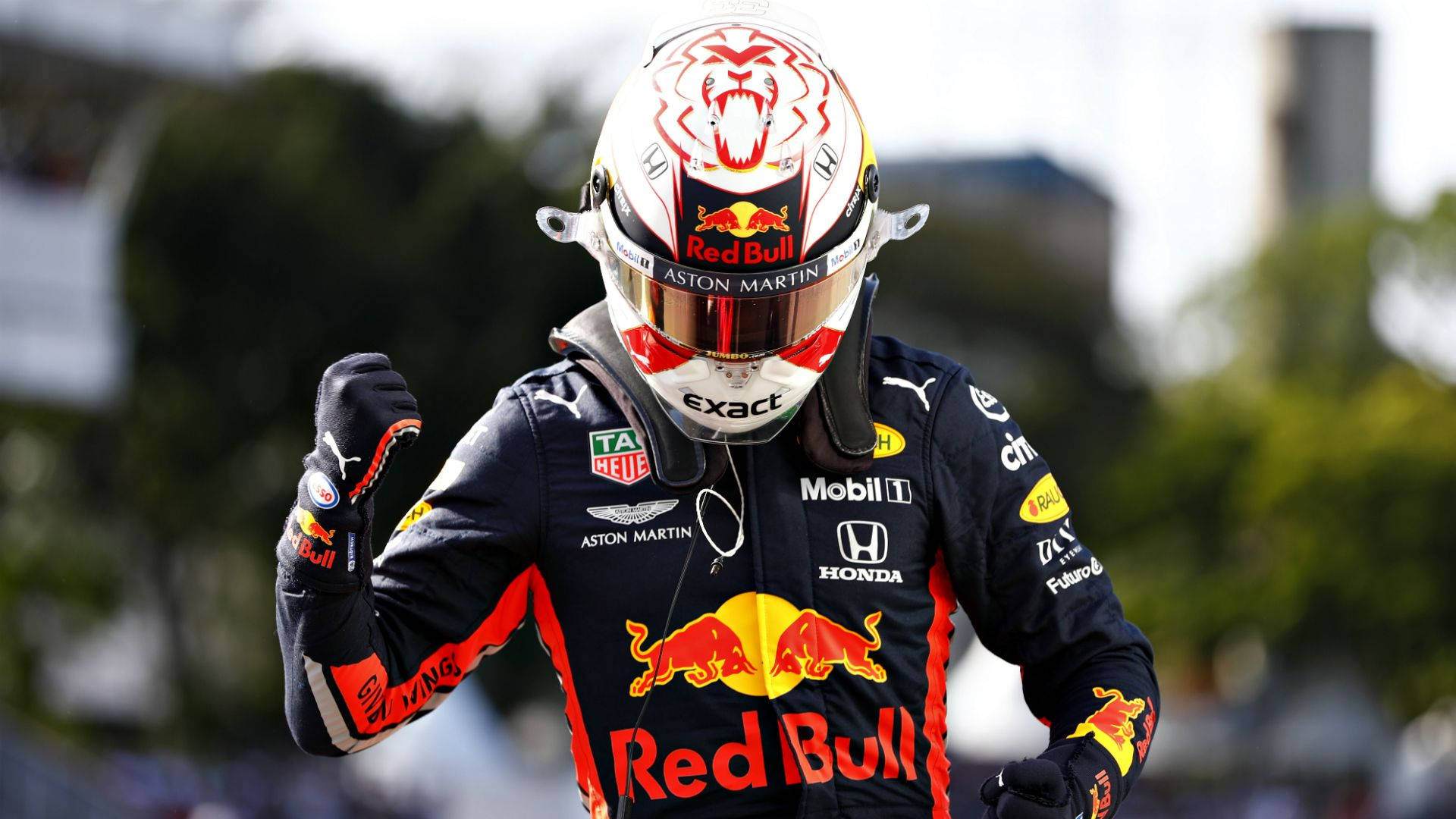 Verstappen 桌布 壁紙 — 一位身穿紅牛賽車服和頭盔的F1車手，在模糊的綠色背景下握緊拳頭慶祝。