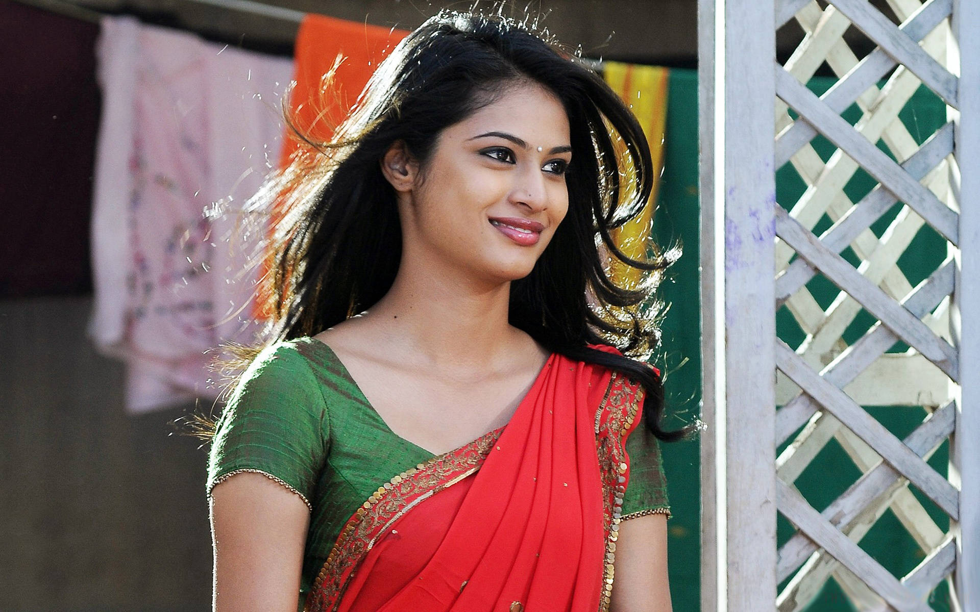 telugu 桌布 壁紙 — 一位身穿紅綠莎麗的光彩照人的女士，在格子籬笆附近，陽光捕捉到她飄逸的深色頭髮，她溫柔地微笑。