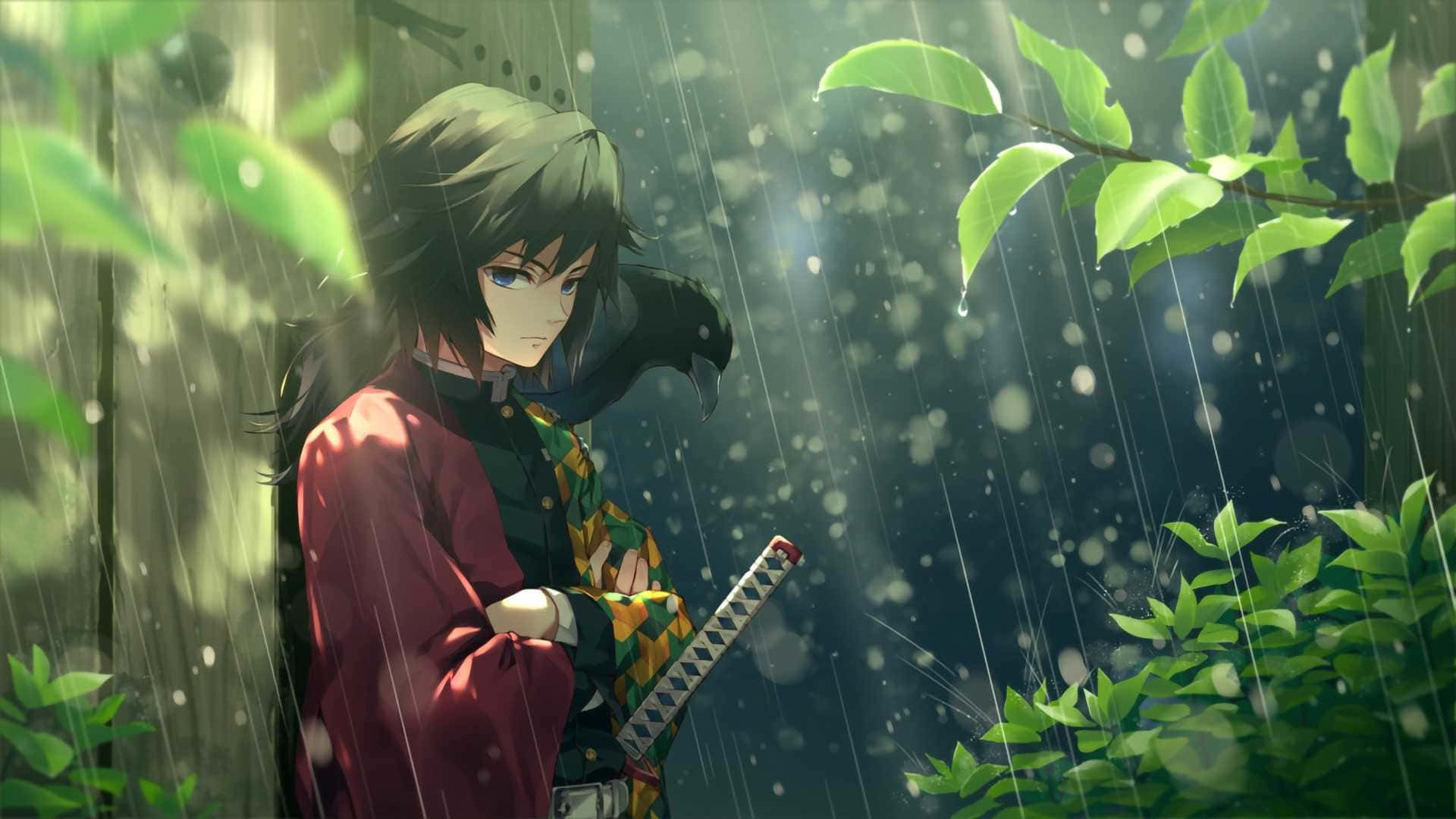 富岡義勇 桌布 壁紙 — 一位身穿紅色和服的年輕動漫戰士，在雨淋的森林中莊嚴站立，手持武士刀，陽光透過綠葉灑落。