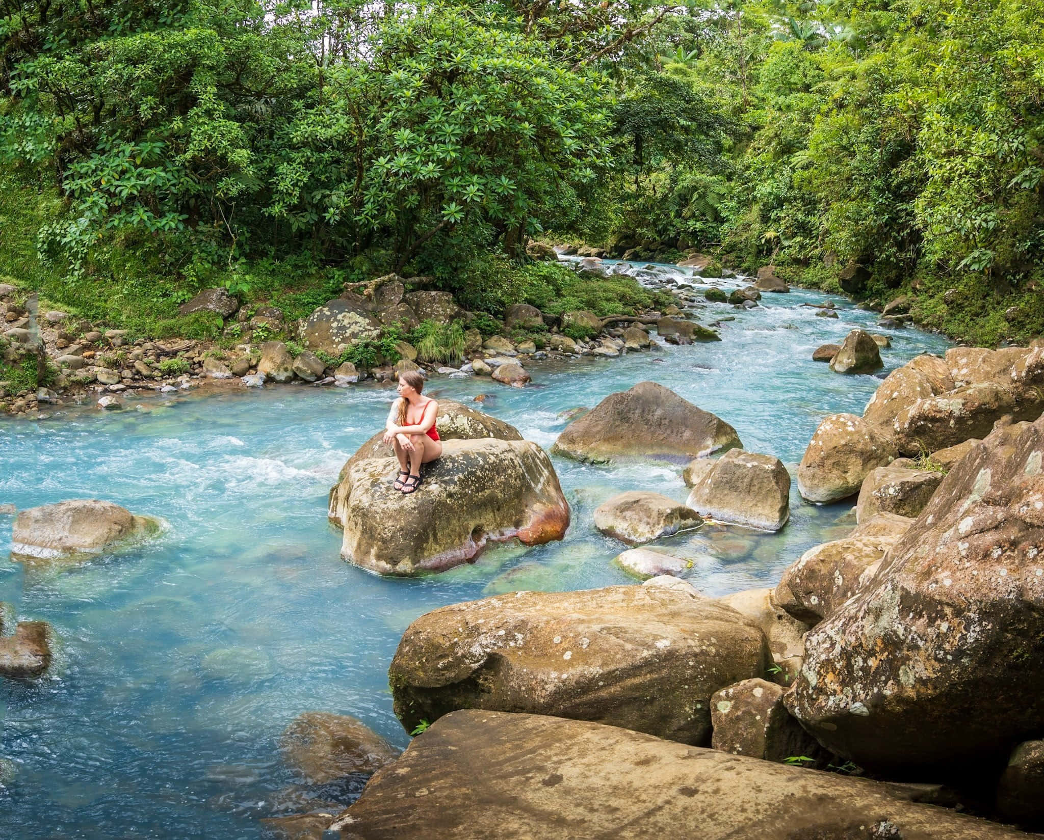 Costa Rica 桌布 壁紙 — 一位身穿紅色泳衣的女性，沉思地坐在翠綠河流中長滿苔蘚的石頭上，河流流經茂密的綠色叢林。