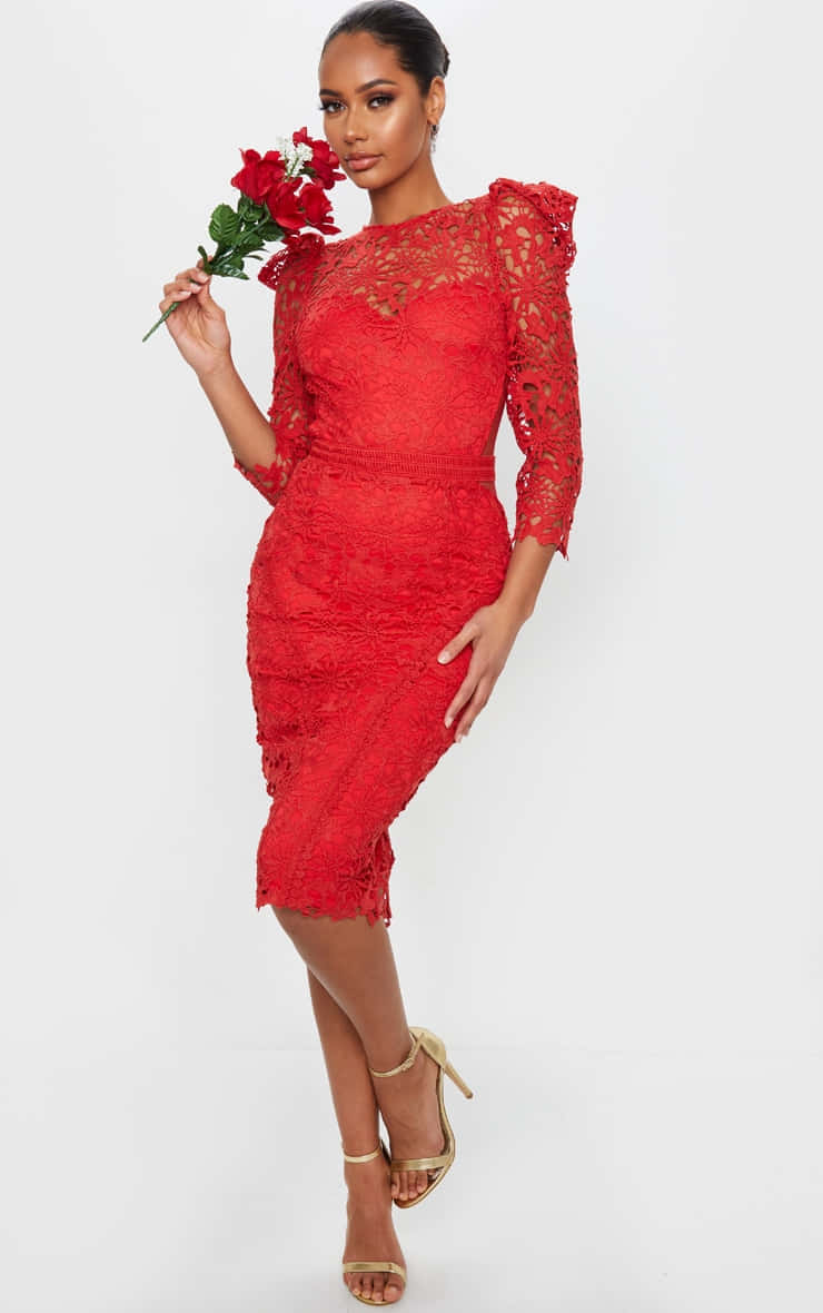 Red Lace Dress 桌布 壁紙 — 一位身穿紅色蕾絲連衣裙的女性，在純白色背景前手持紅玫瑰。