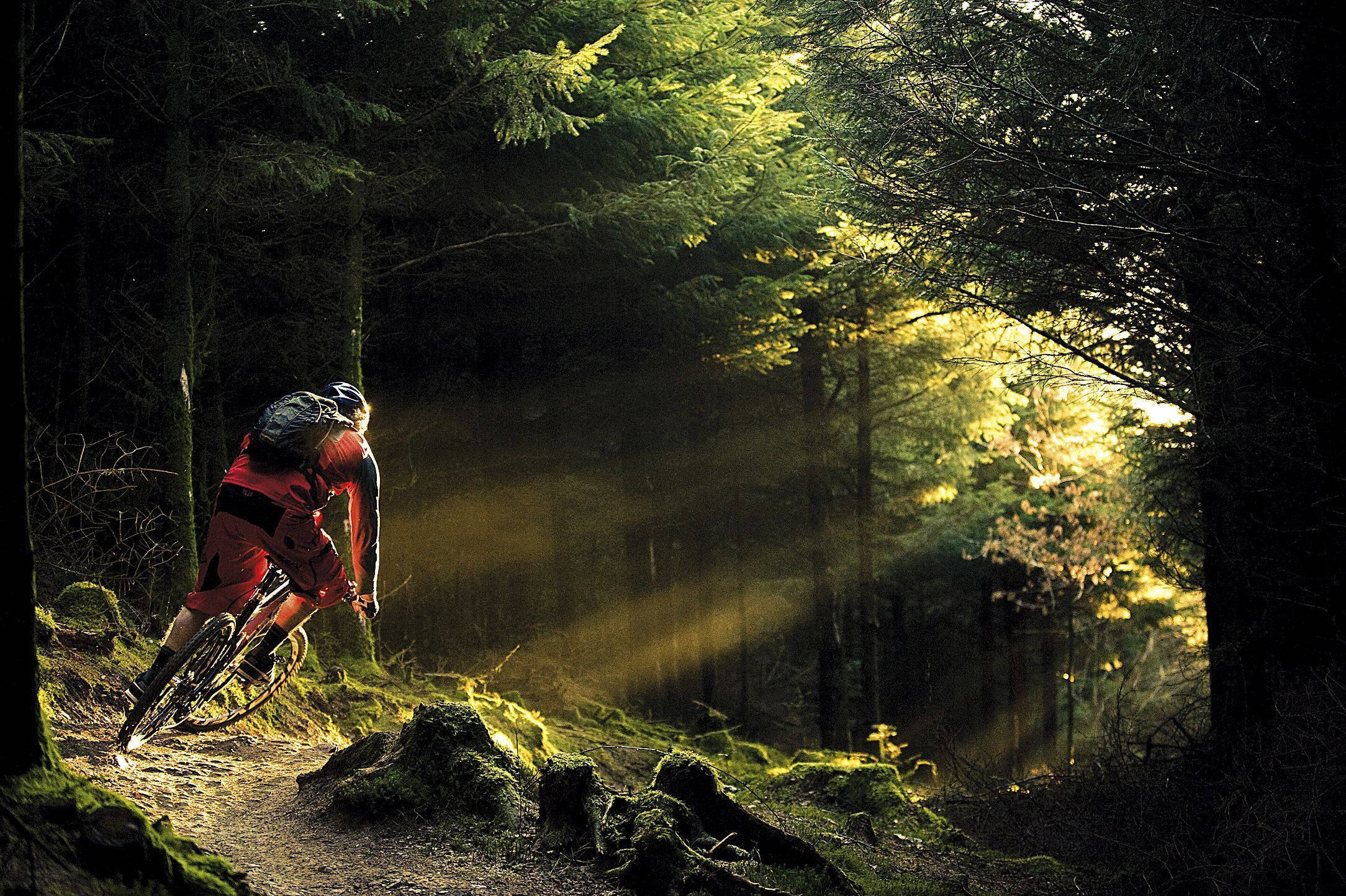 Mountain Bike 桌布 壁紙 — 一位身穿紅色裝備的騎行者踩著腳踏車穿過長滿苔蘚的森林，金色的陽光穿過樹木照射下來。