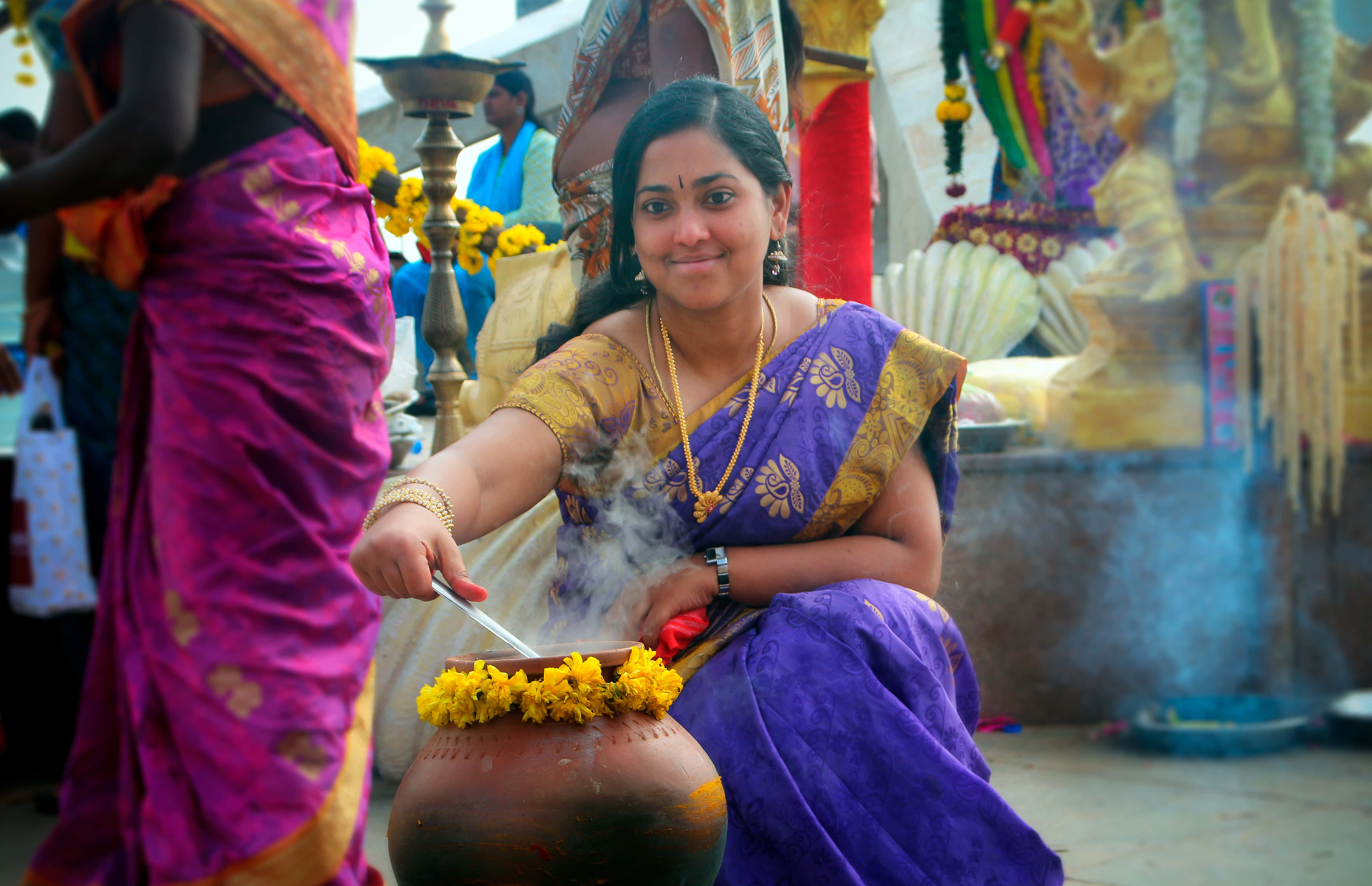 Pongal 桌布 壁紙 — 一位身穿紫色和金色莎麗的女性微笑著攪拌一個裝飾著黃色花朵、冒著蒸氣的鍋，背景是充滿活力的寺廟儀式。