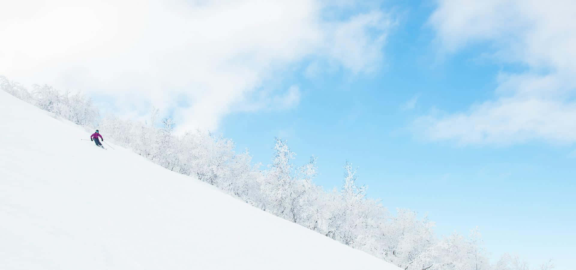 Skiing 桌布 壁紙 — 一位身穿紫色的孤獨滑雪者，在點綴著蓬鬆白雲的明亮藍天下，沿著純淨的雪坡滑下。