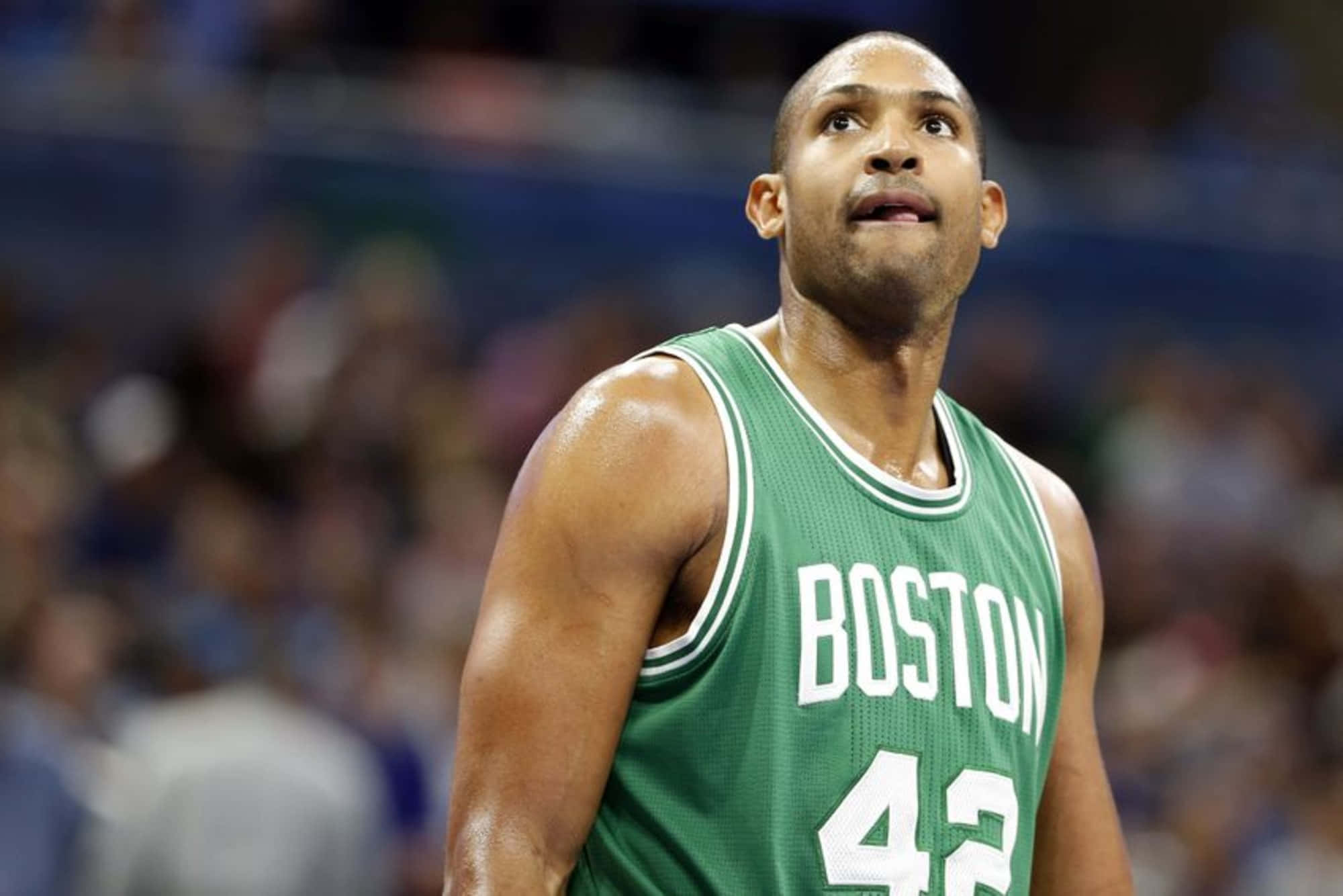 Al Horford 桌布 壁紙 — 一位身穿綠色波士頓球衣、號碼42的專注籃球運動員，在明亮的場館燈光下，於一場激烈的比賽中向上看。