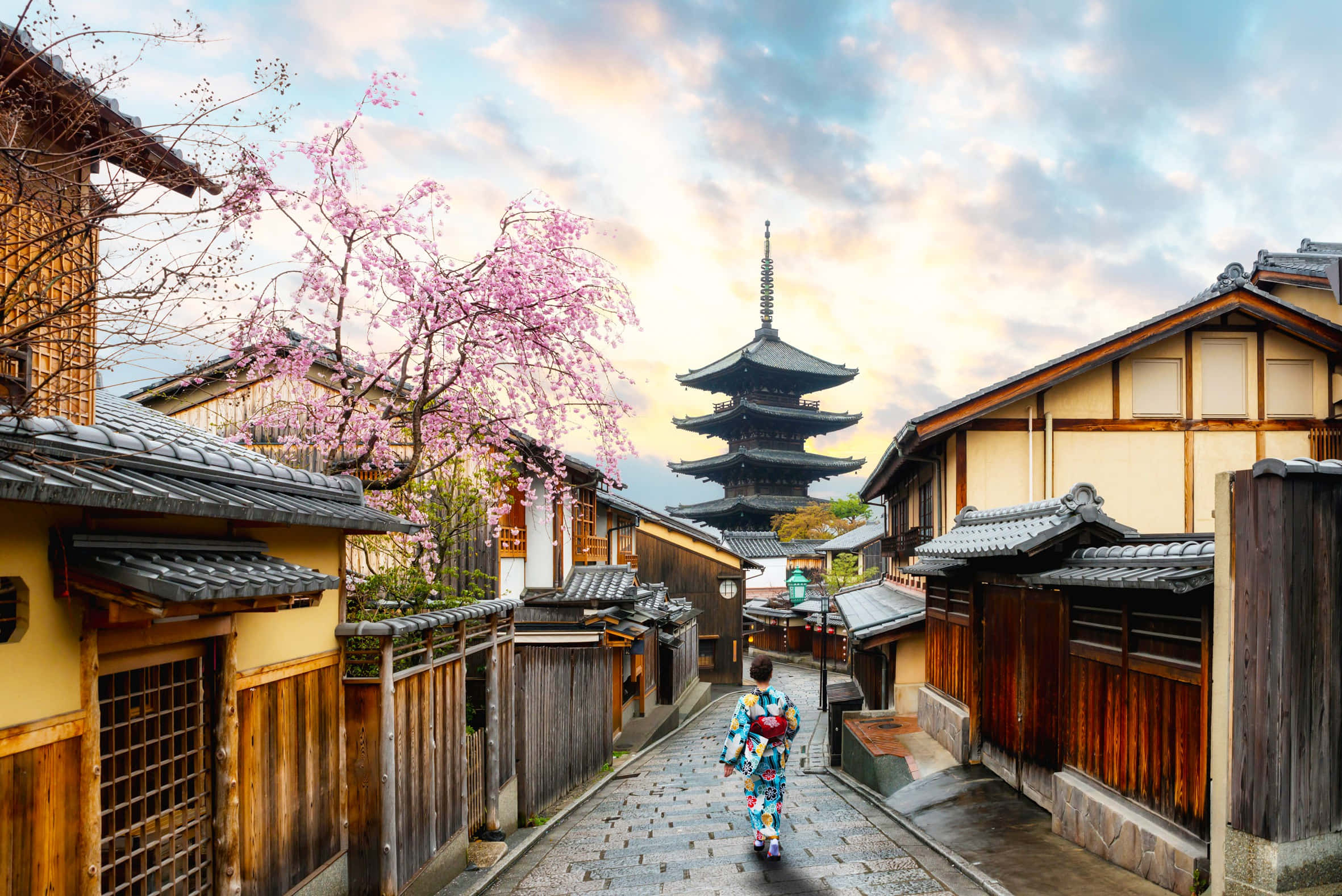 Japanese 桌布 壁紙 — 一位身穿色彩繽紛和服的人，沿著一條狹窄的鵝卵石街道行走，兩旁是傳統的木屋和盛開的櫻花樹，朝著夕陽下遠處的寶塔走去。