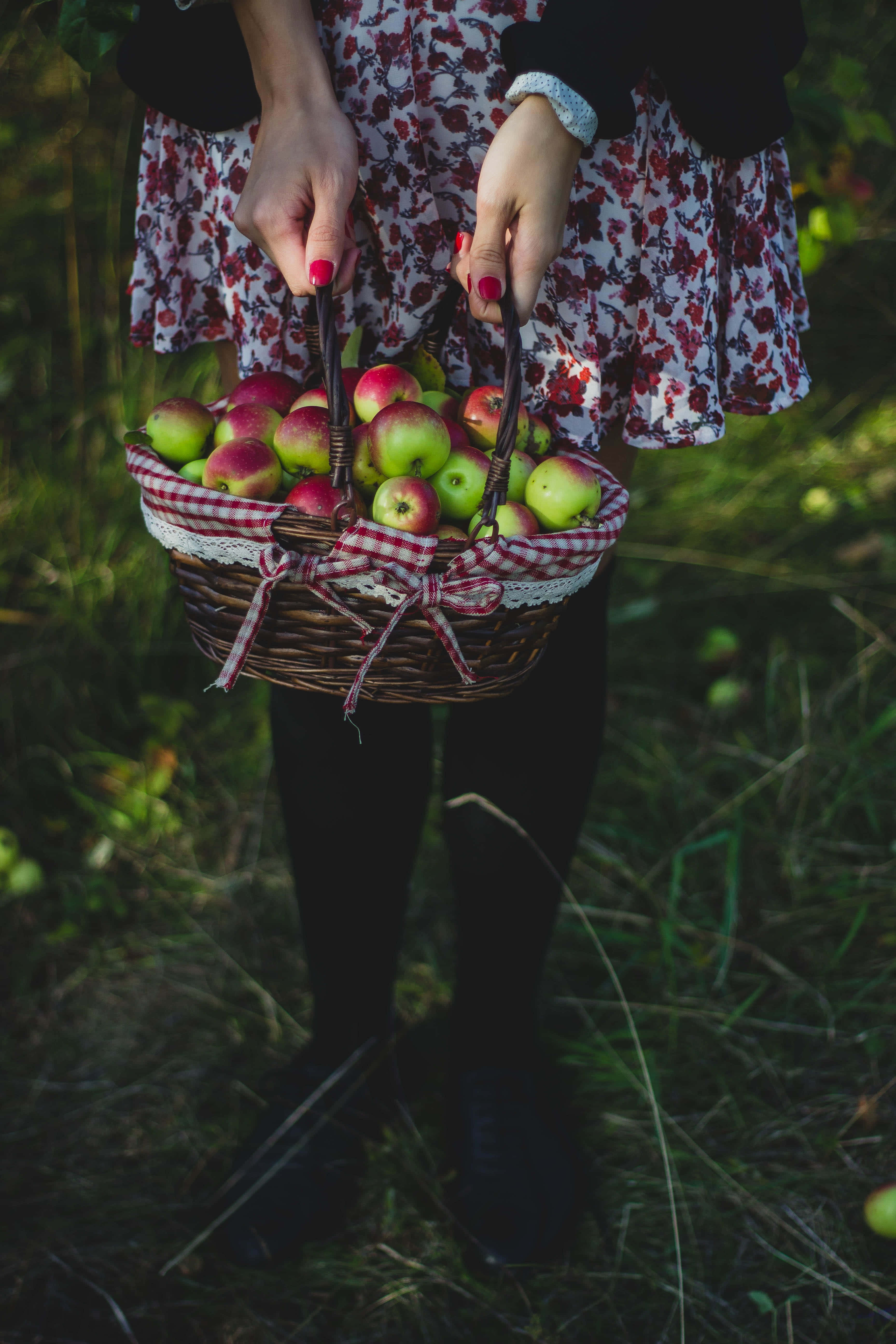 Apple Picking 桌布 壁紙 — 一位身穿花卉連衣裙的人，在陽光明媚的森林中，手持一個裝滿新鮮紅蘋果和青蘋果的柳條籃。