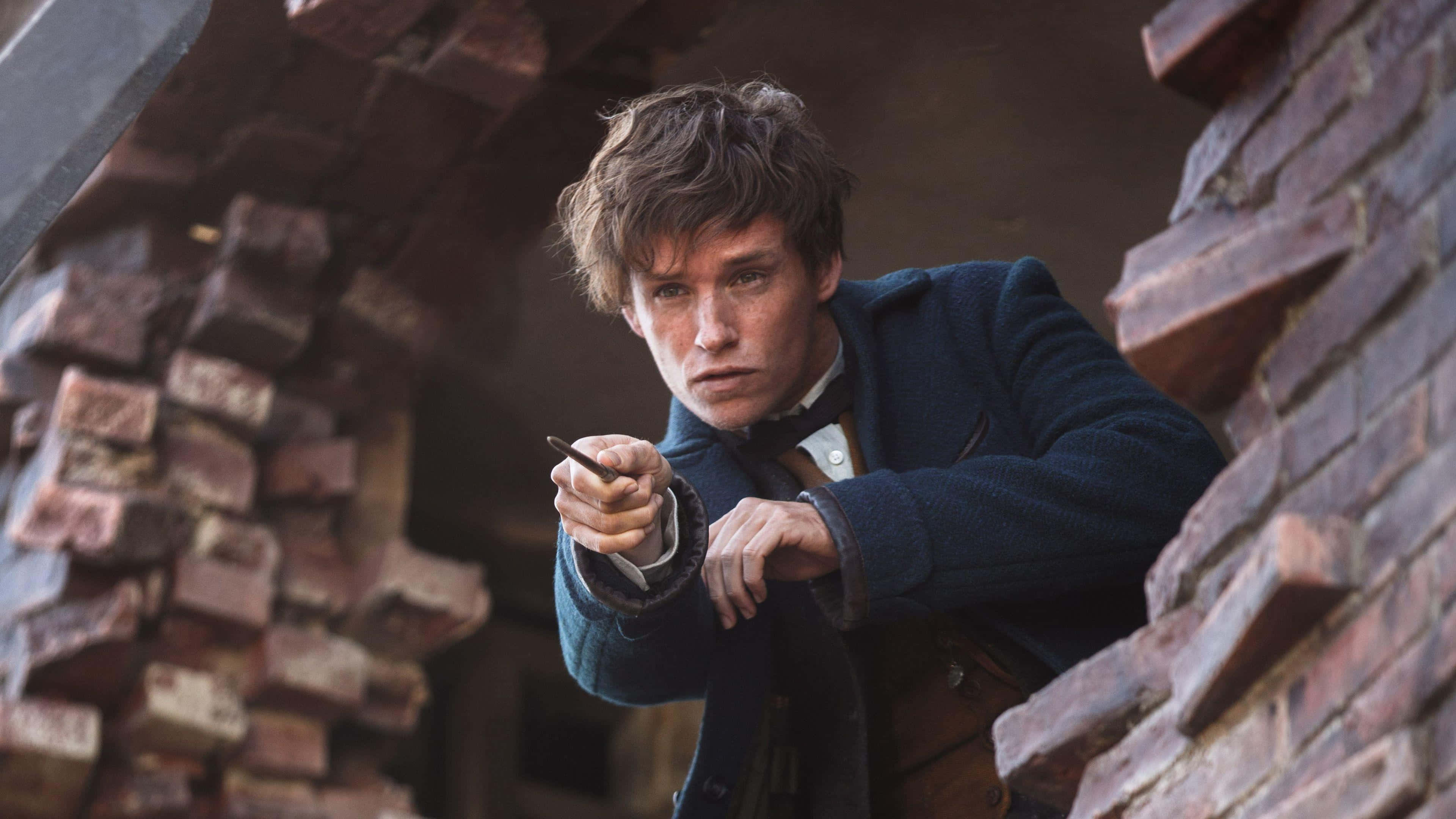 Fantastic Beasts 桌布 壁紙 — 一位身穿藍色外套的年輕男子，透過破損的磚拱門，專注地握著一支筆凝視著。