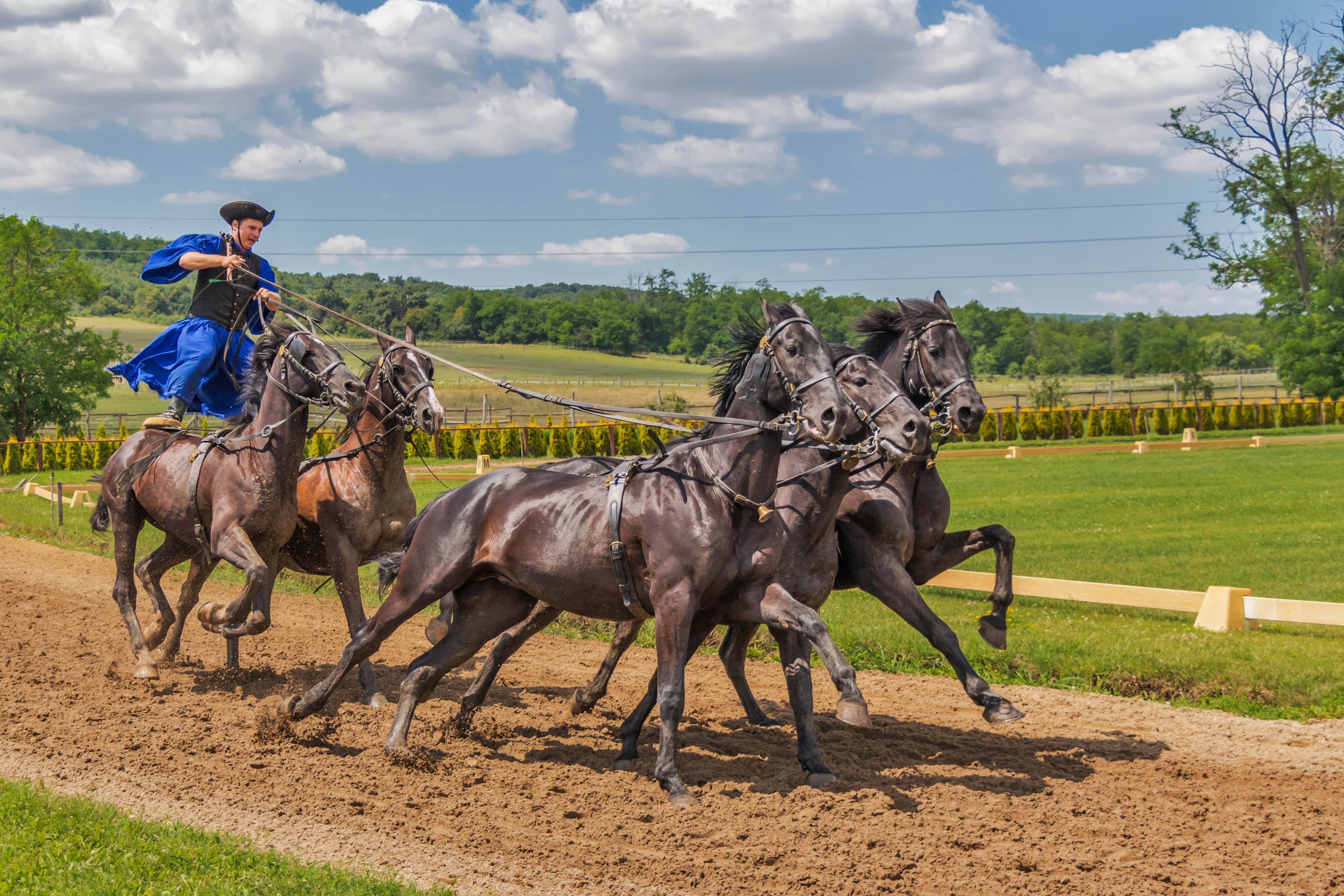 Beautiful Horses 桌布 壁紙 — 一位身穿藍色衣服的騎師，在明亮多雲的天空下，騎著一隊四匹奔騰的馬匹在泥地賽道上馳騁。