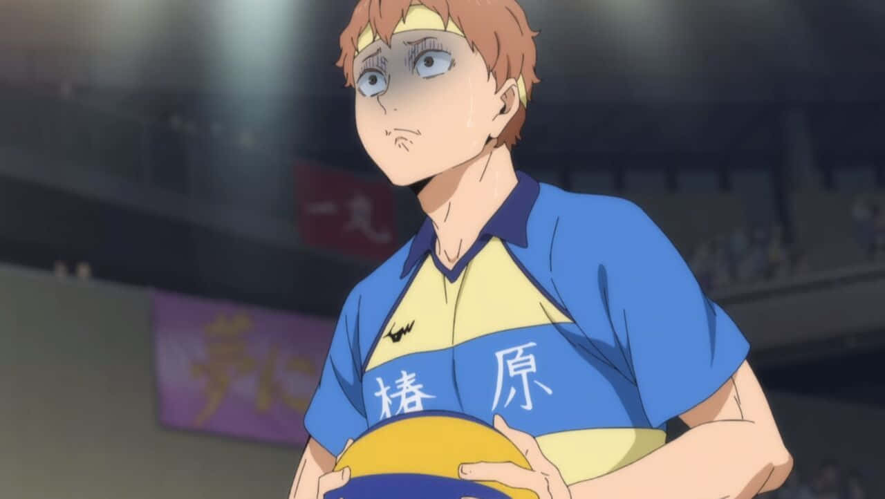Tsubakihara 桌布 壁紙 — 一位身穿藍黃色制服、意志堅定的動漫排球運動員在明亮的場館燈光下抱著球。