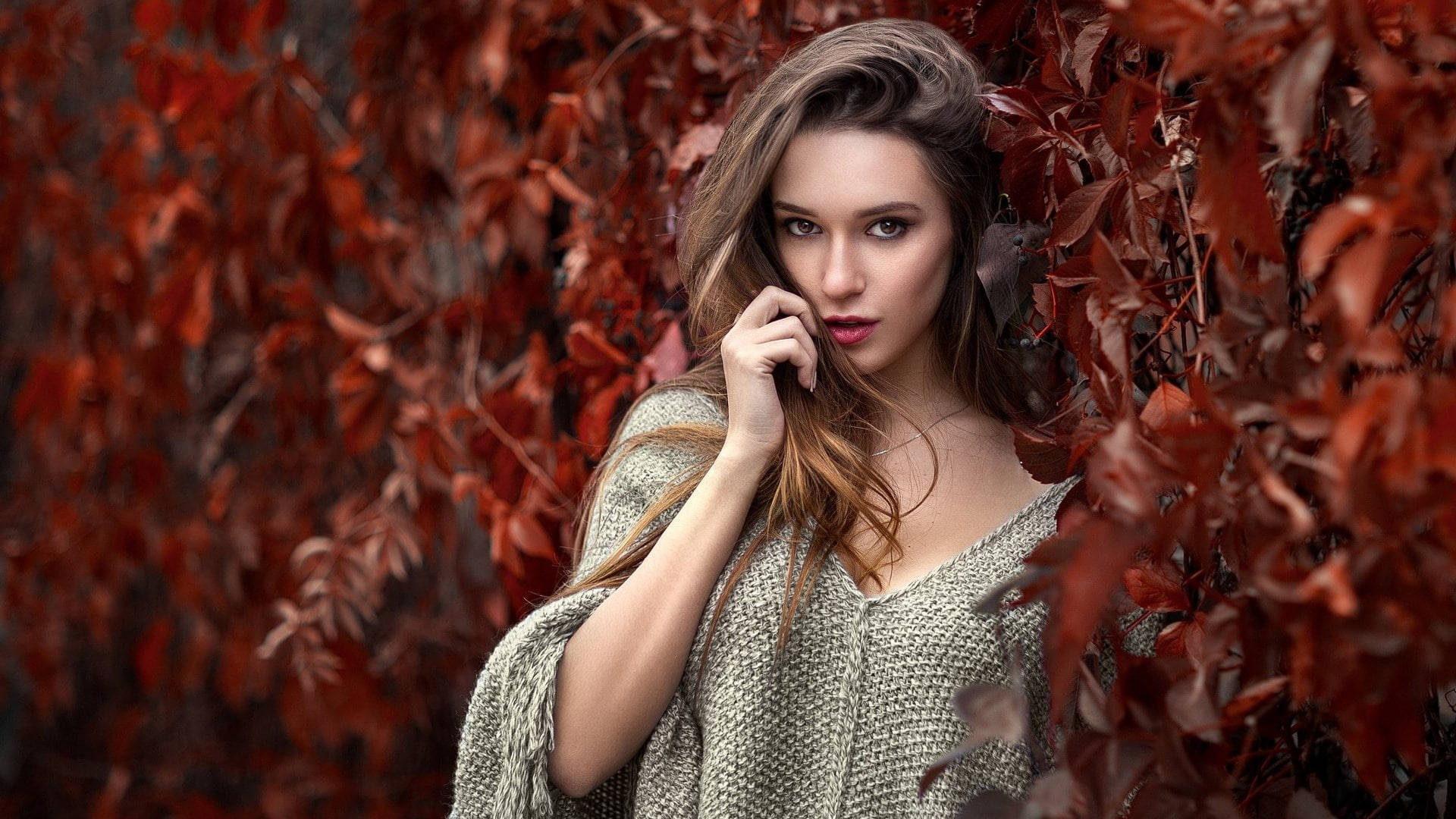 Woman Beautiful 桌布 壁紙 — 一位身穿質感針織毛衣的女性，站在鮮紅色的葉叢中，直視鏡頭，表情柔和。