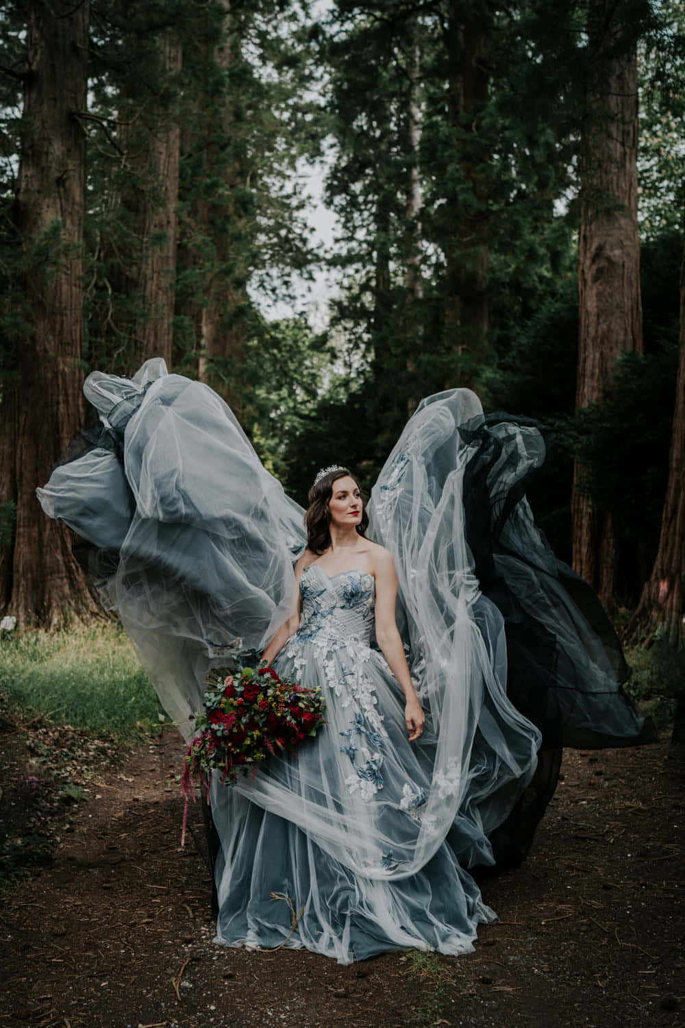 Black And White Wedding 桌布 壁紙 — 一位身穿飄逸藍色禮服和戲劇性頭紗的新娘，站在森林中手持紅色花束。