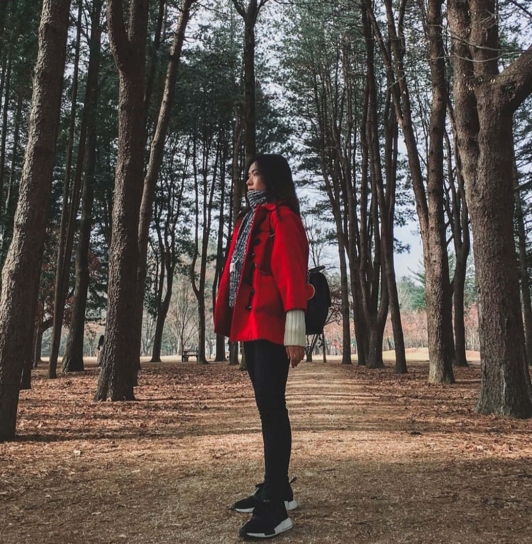 Red Coat 桌布 壁紙 — 一位身穿鮮紅色外套的女性獨自站在森林小徑上，周圍是高聳的松樹和落葉。