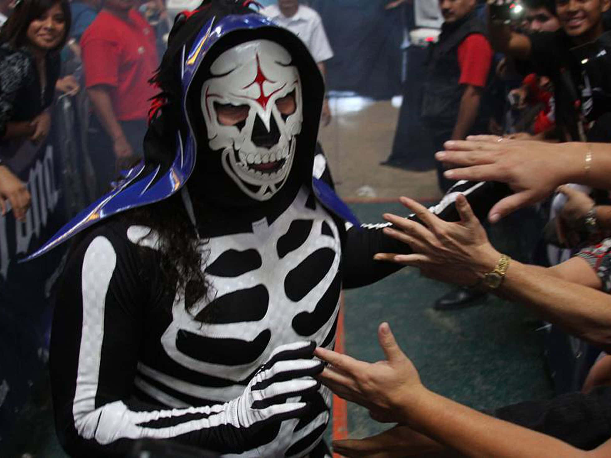 La Parka AAA Triplemania XVIII 壁紙 — 一位身穿黑白骷髏服裝、戴著骷髏面具的摔角手與伸手觸摸他們的粉絲互動。