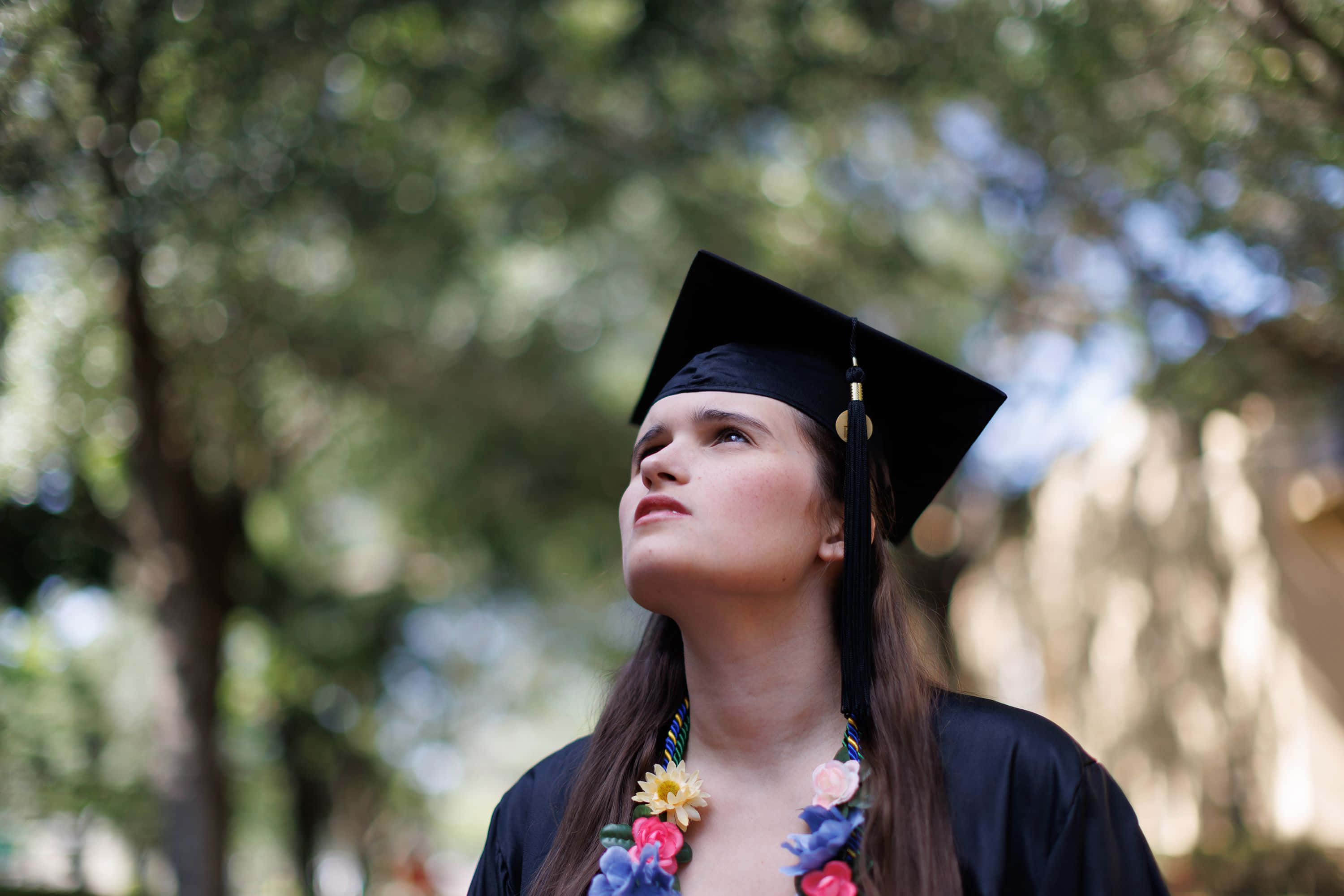 Graduation Ceremony 桌布 壁紙 — 一位身穿黑色畢業袍和四方帽的年輕畢業生，在陽光普照的樹木背景下，帶著充滿希望的表情向上仰望。