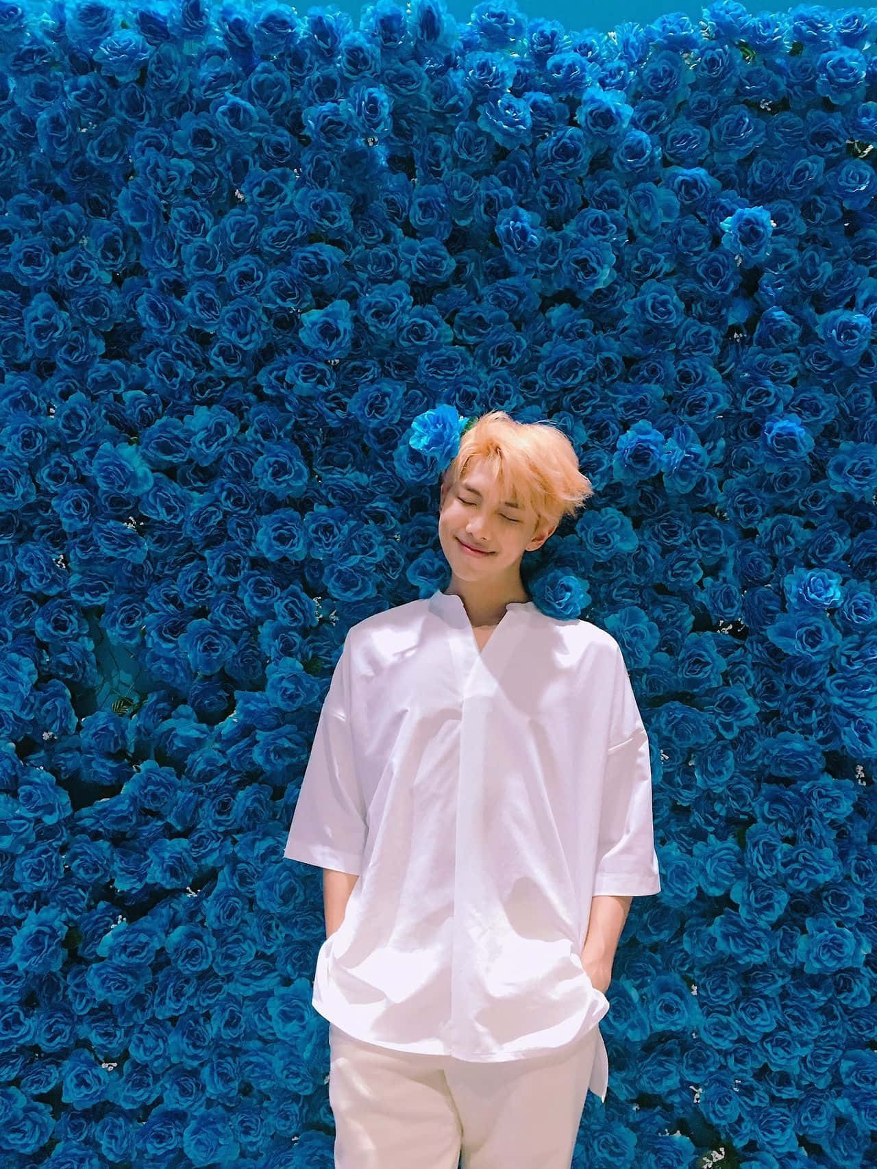 Bts Rap Monster 桌布 壁紙 — 一位金髮年輕人對著一面密集的鮮藍色玫瑰牆溫柔微笑。